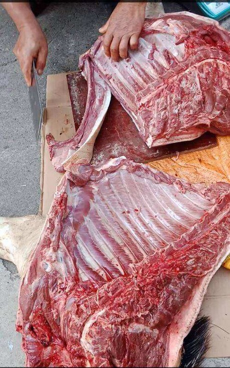 皮厚肉粗炖不烂的老母猪肉.