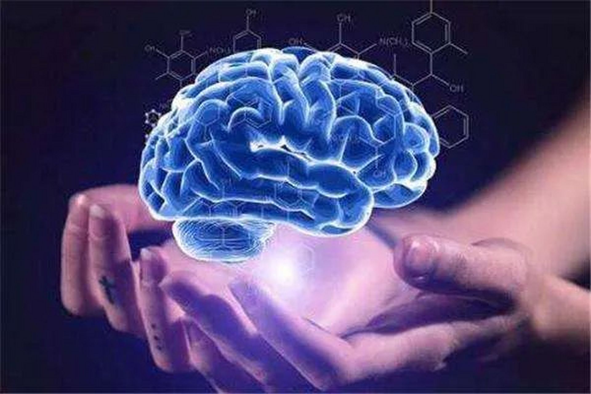 韦氏智力测试(完整版)成人版,儿童版,幼儿园的