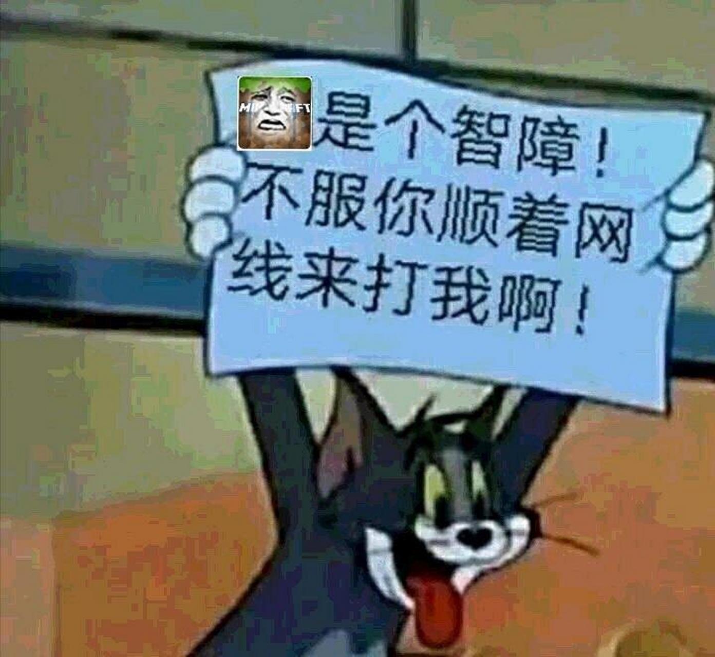 精选反mc表情包(第二批)