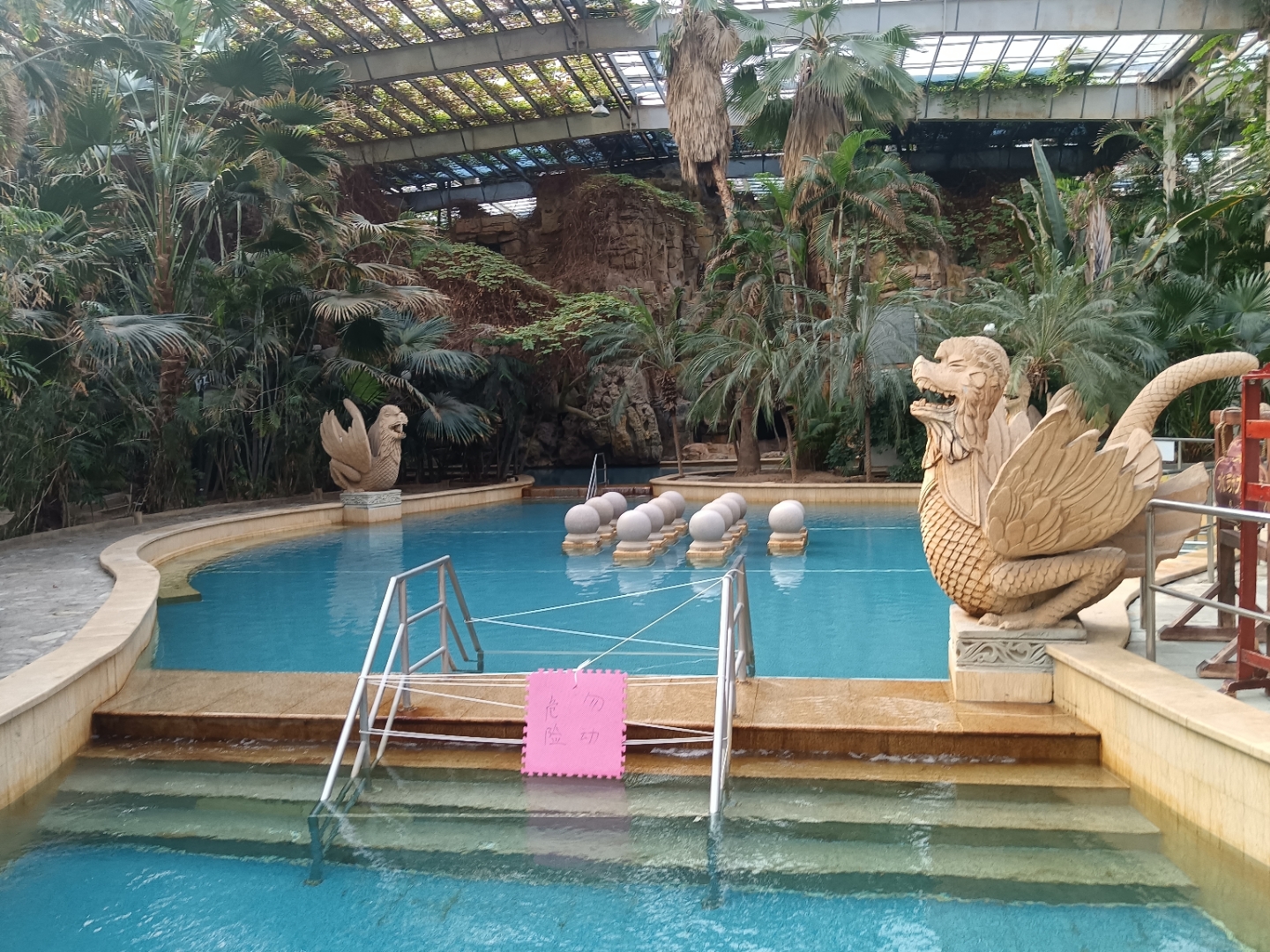 "走进这个神奇的玻璃圆顶,仿佛踏入了大自然的私家花园