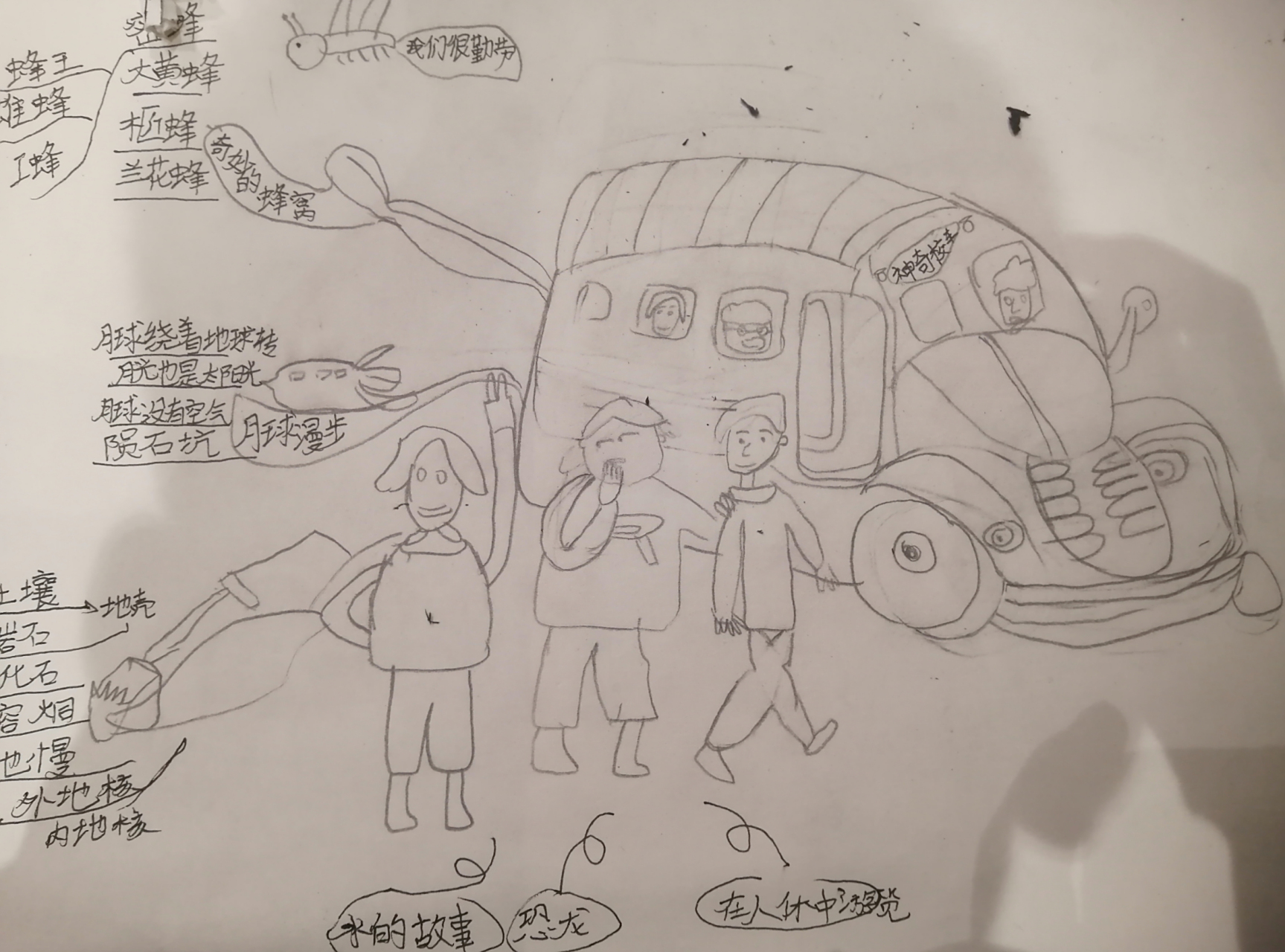 美丽的神奇校车思维导图