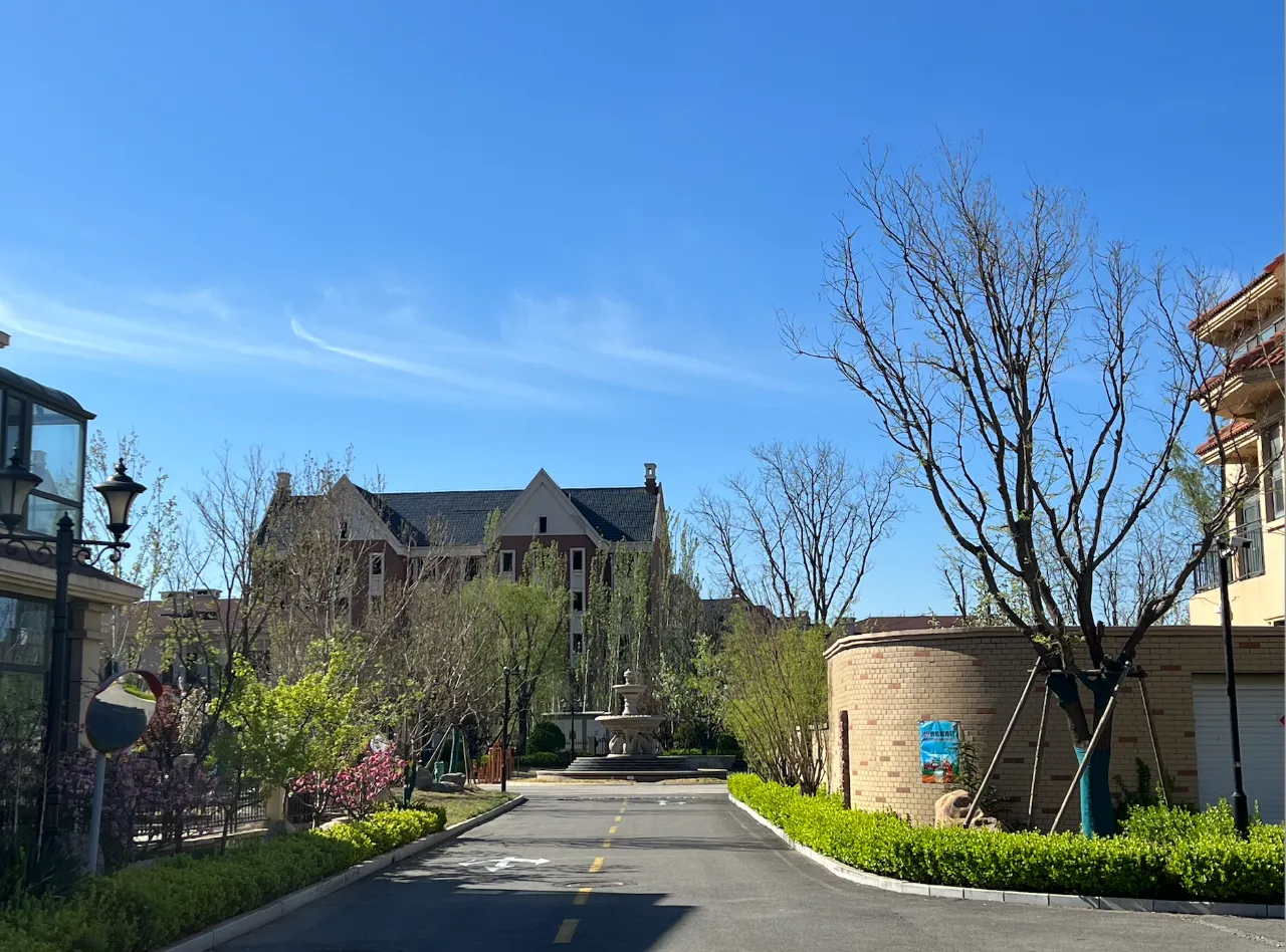 天津恒大凤凰庄园地处全国十大魅力村庄静海双塘,近拥生态湿地凤凰湖