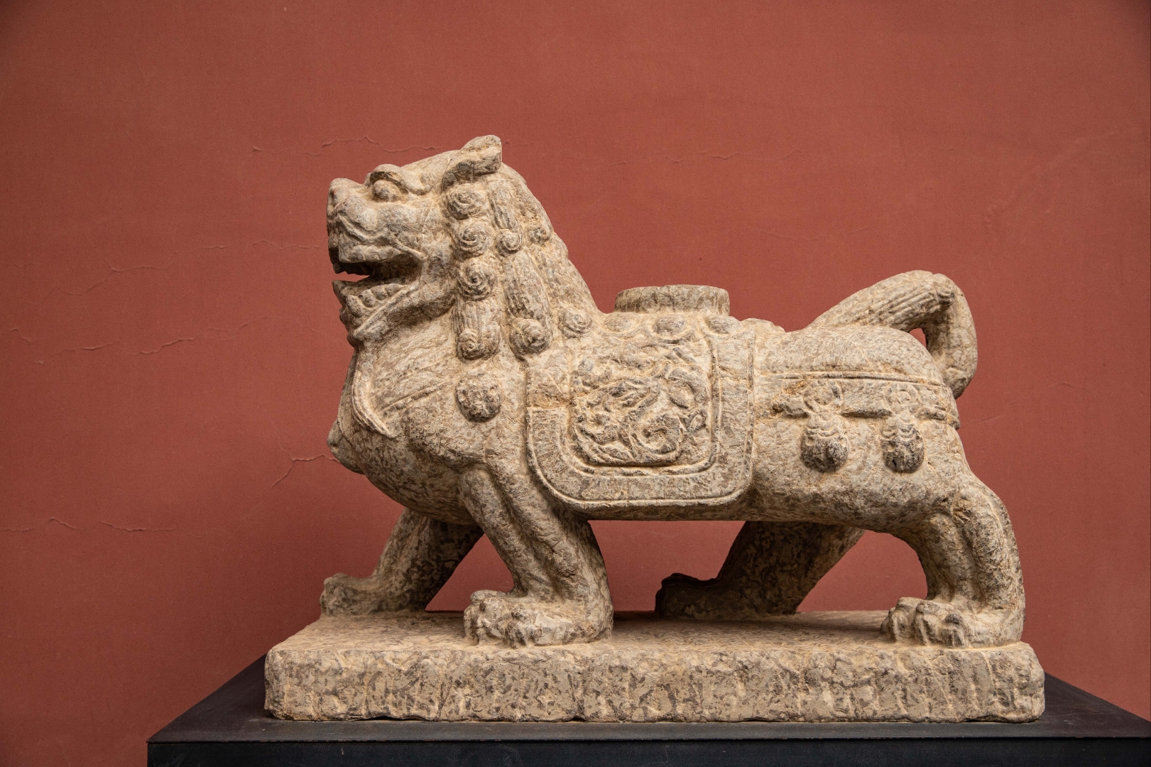 夏季百家接力赛#这是在郑州大观音寺里见到的两尊石狮子,我们平时见