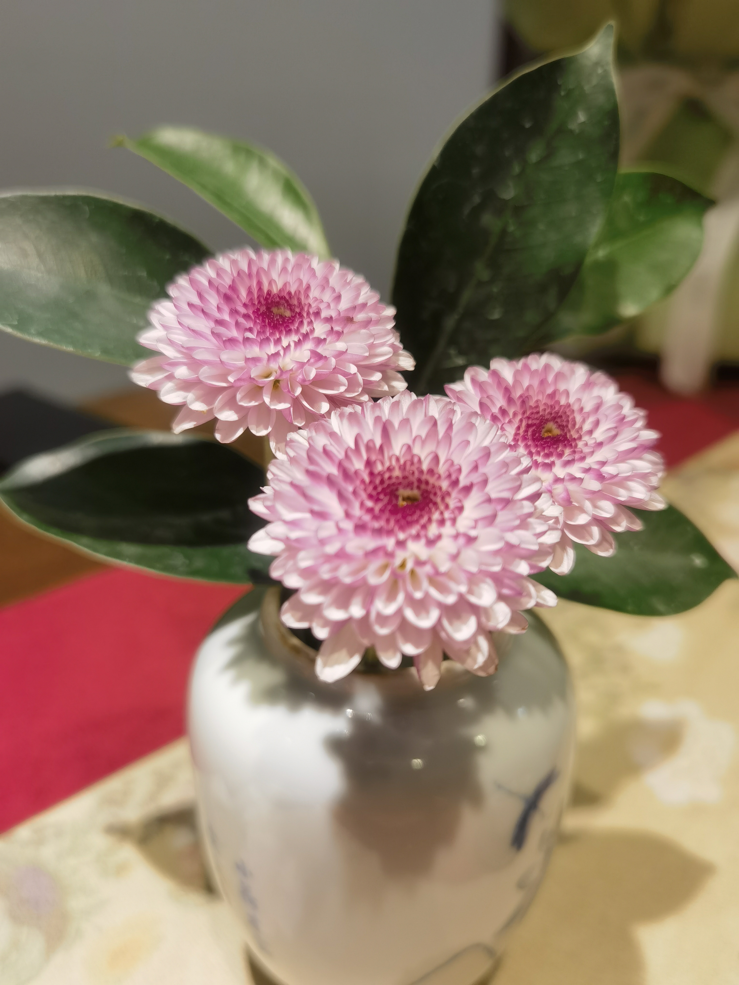 喜欢的事就去做,想得到的就努力争取,不为他人的目光所累.