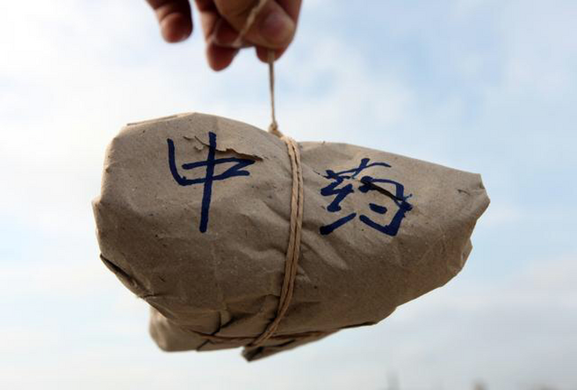 【治疗胰腺癌的一味中药——土鳖虫】 土鳖虫为鳖蠊科昆虫地鳖或冀