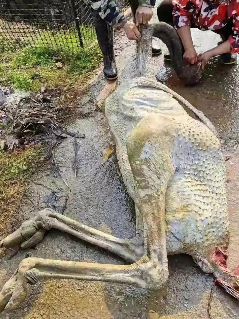 前段时间我结识了一个云南人,那个朋友挺热情的做事