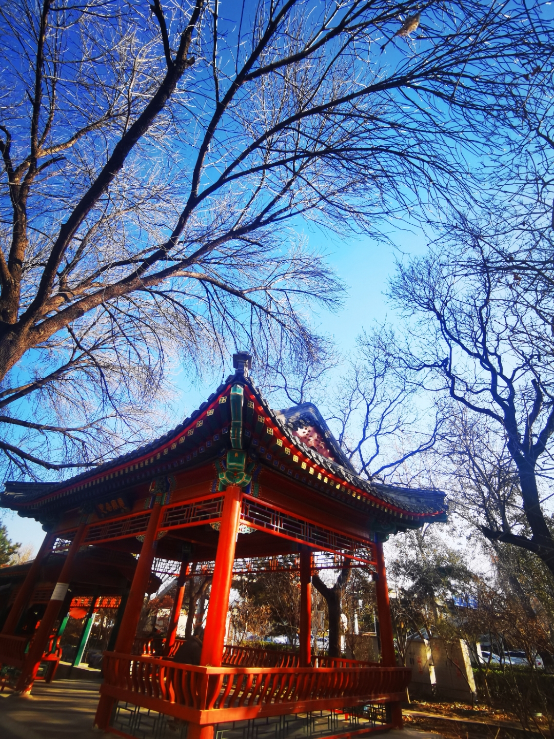 北三环安定门骑行街拍北京2024124记录我的城市吧