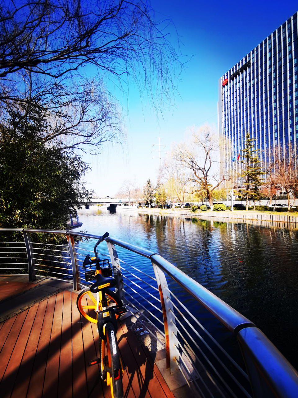 北京北三环北滨河风景(3.8骑行手机拍摄)①