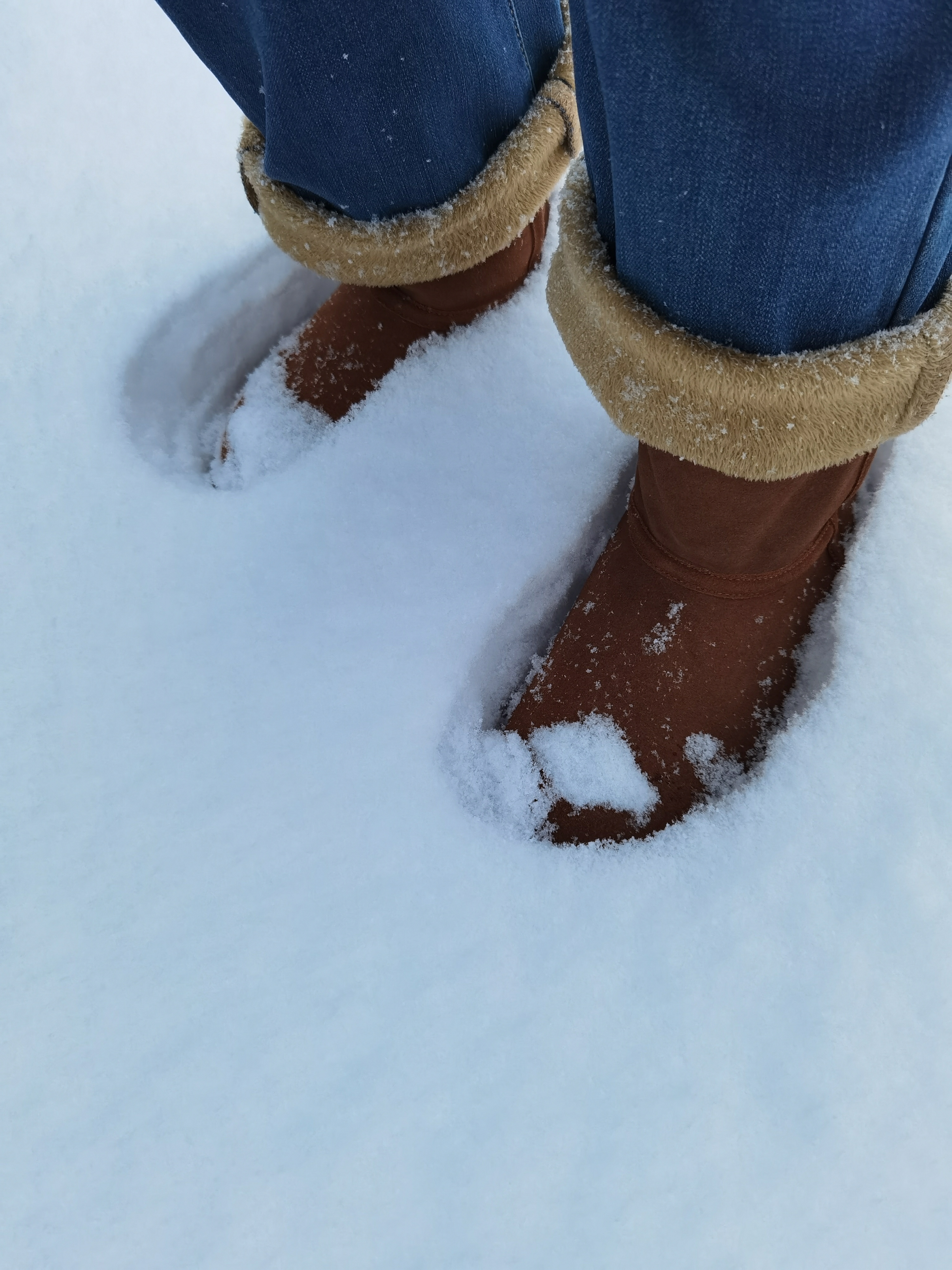 风,停了 夜静的可听到雪落 枝子在黑暗中折断 像