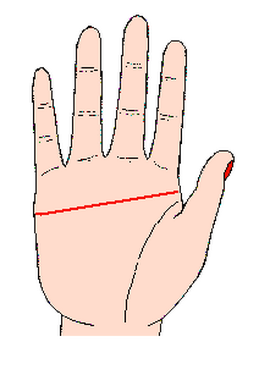 断掌纹不是人物就是要饭的,什么意思?欢迎评论