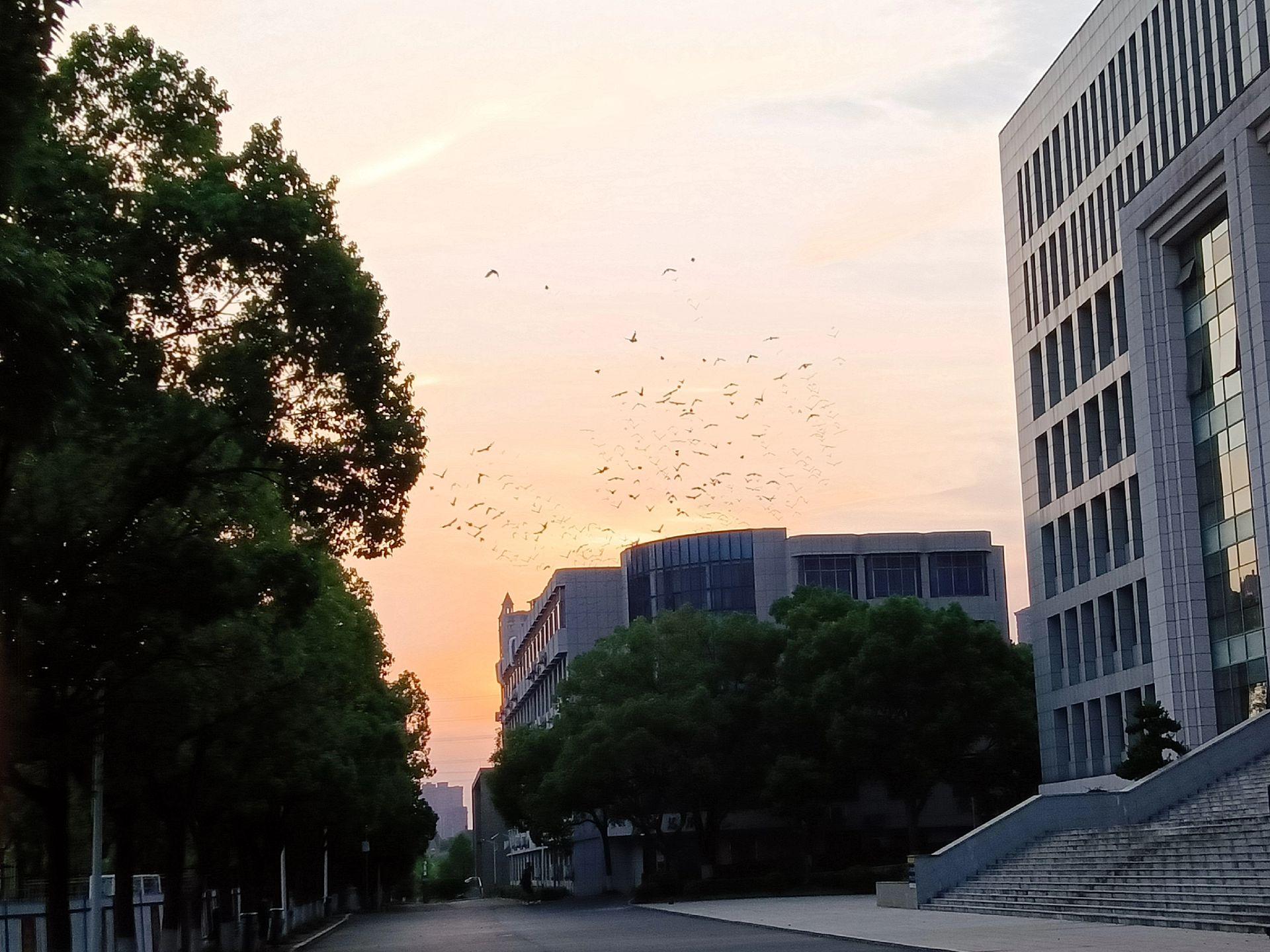 长沙湘警学院图片