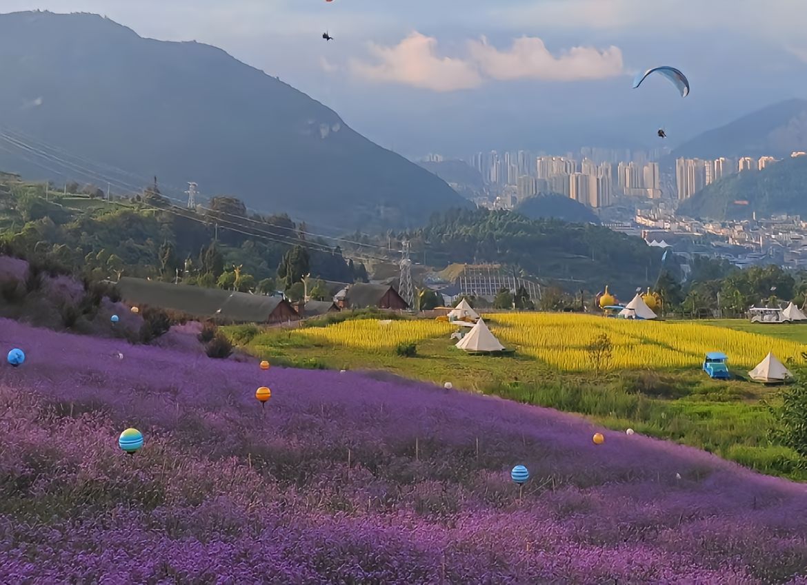 那么,今天我来给大家揭秘一个藏在贵州的绝美花海——黔北花海!