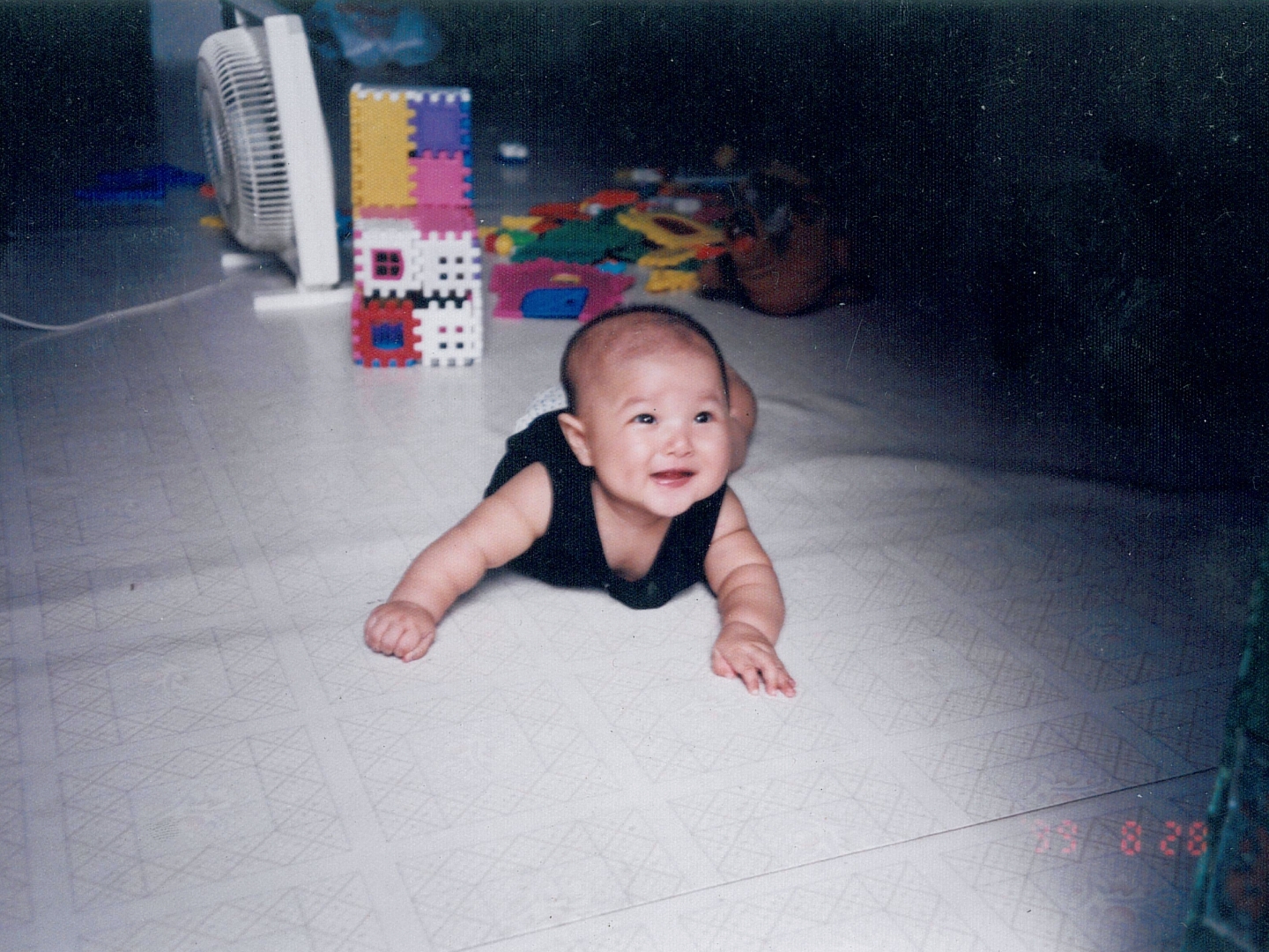 寻脉国风# 水调歌头·吾家有女初长成