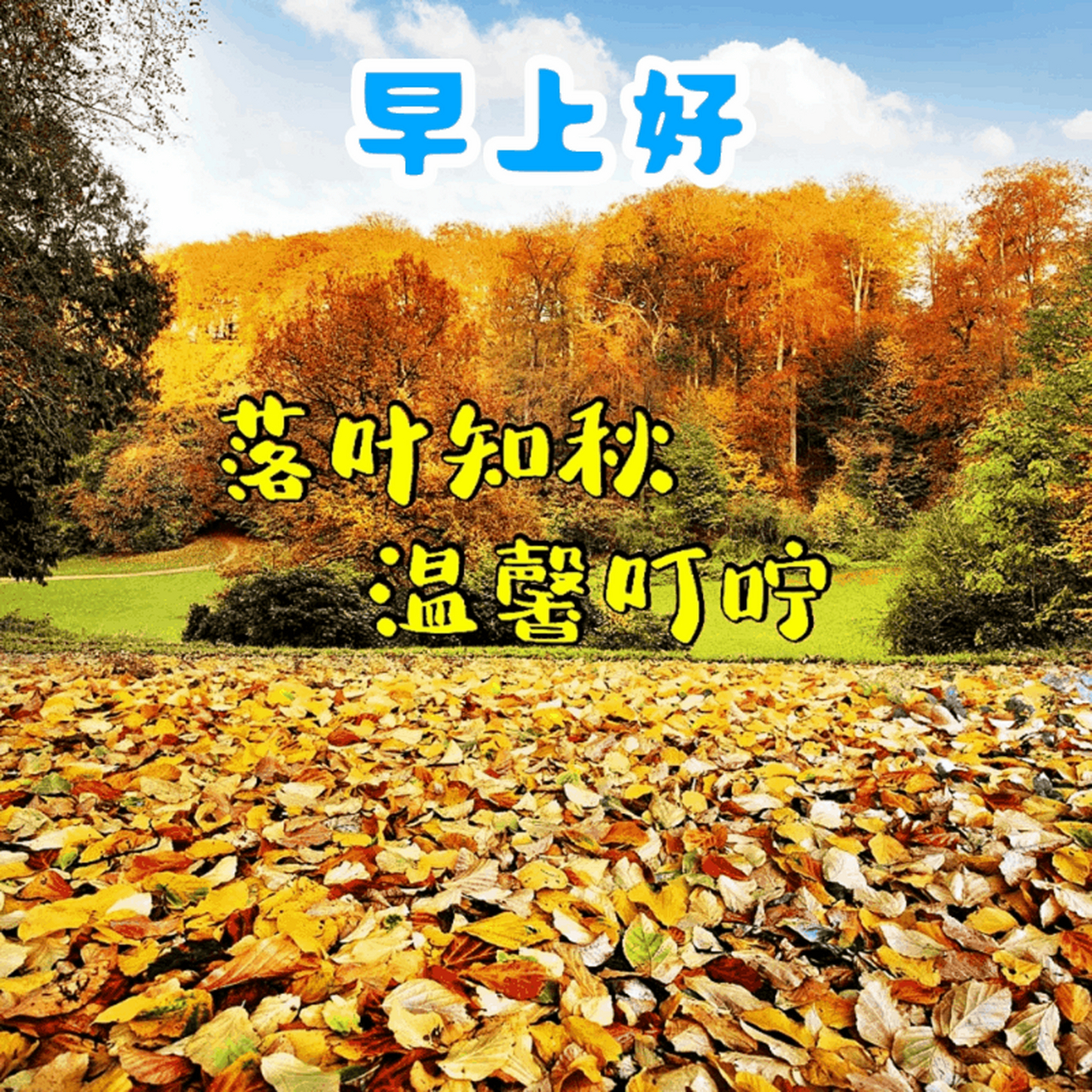 秋天早晚凉注意添衣裳!