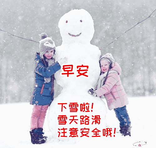 早上好#养花种菜小分队