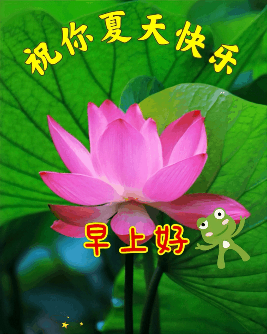 早上好:祝你夏天快乐!健康平安!#我们都爱聊八卦