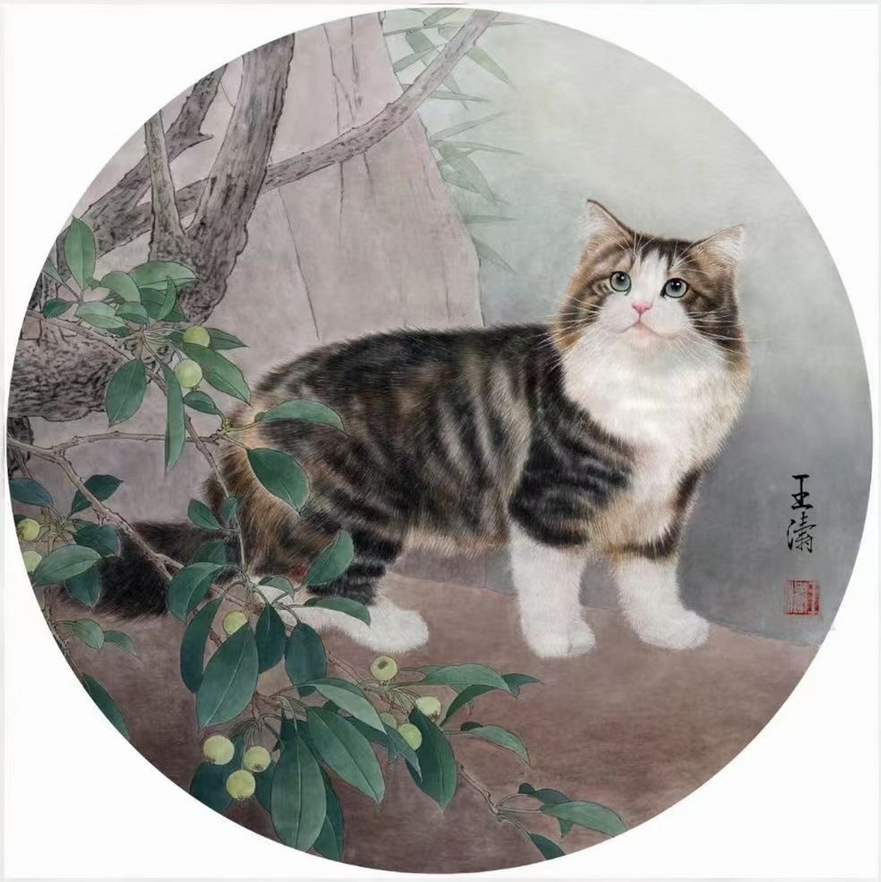 工笔猫获奖作品图片