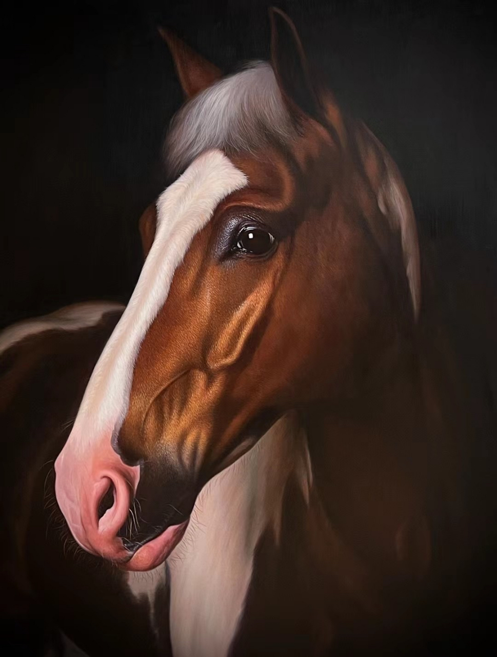这幅马头油画让我感受到了无尽的力量与生命力!