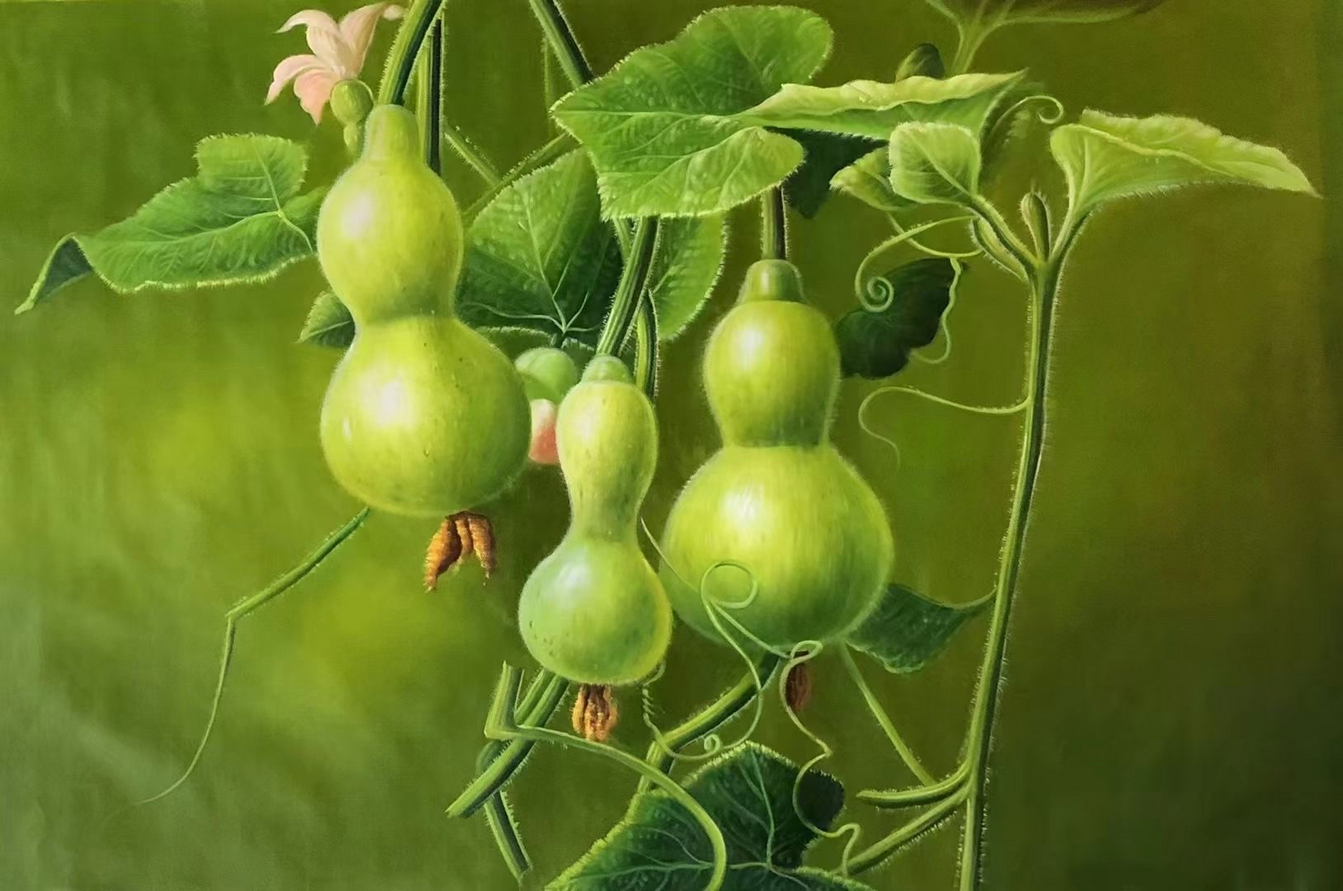 写实油画作品#艺惠藏137187#  两个葫芦叶子,生机勃勃的绿色世界95