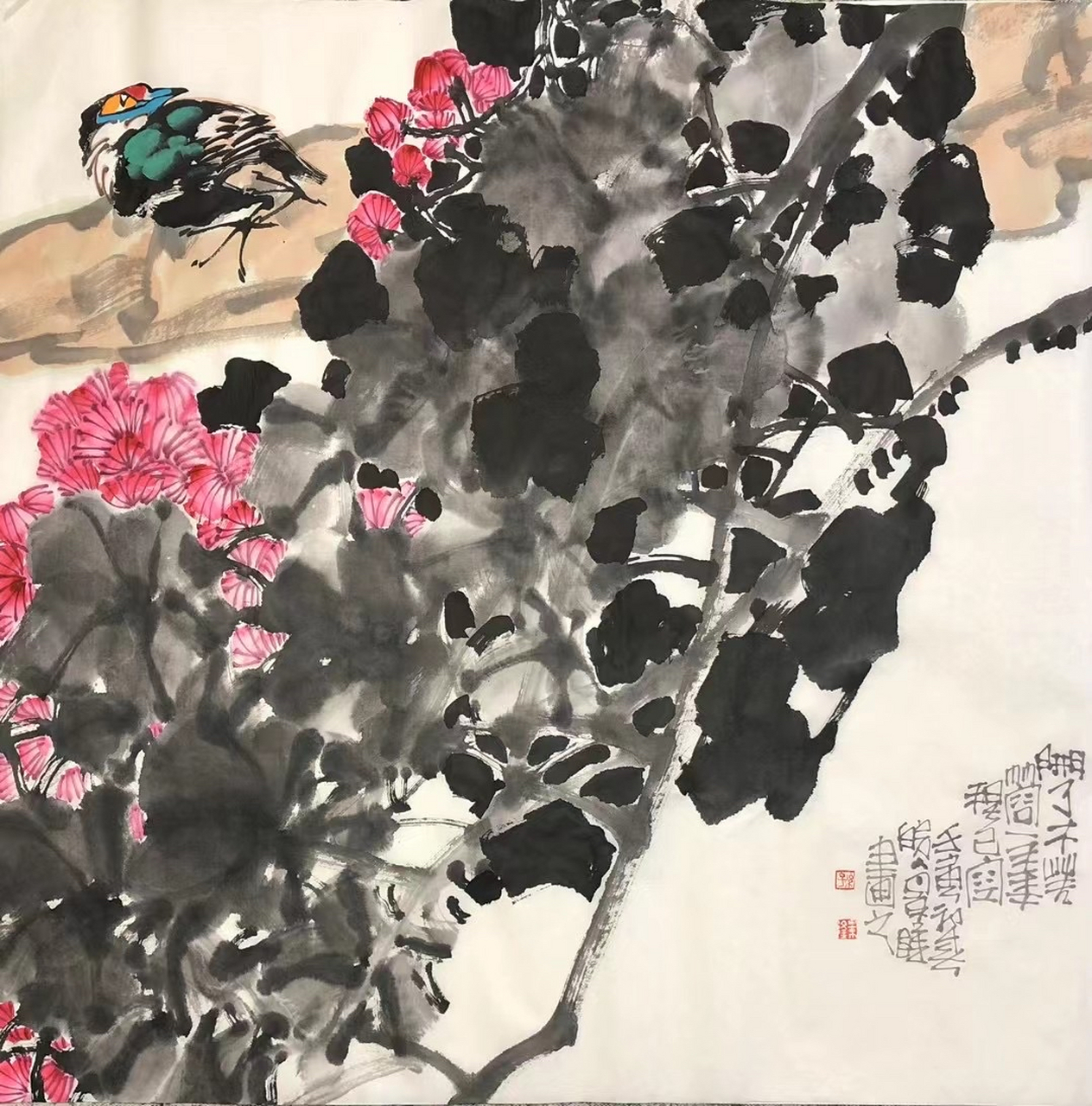 孙景隆花鸟画作品欣赏@艺惠藏#艺惠藏#孙景隆#孙景隆花鸟画