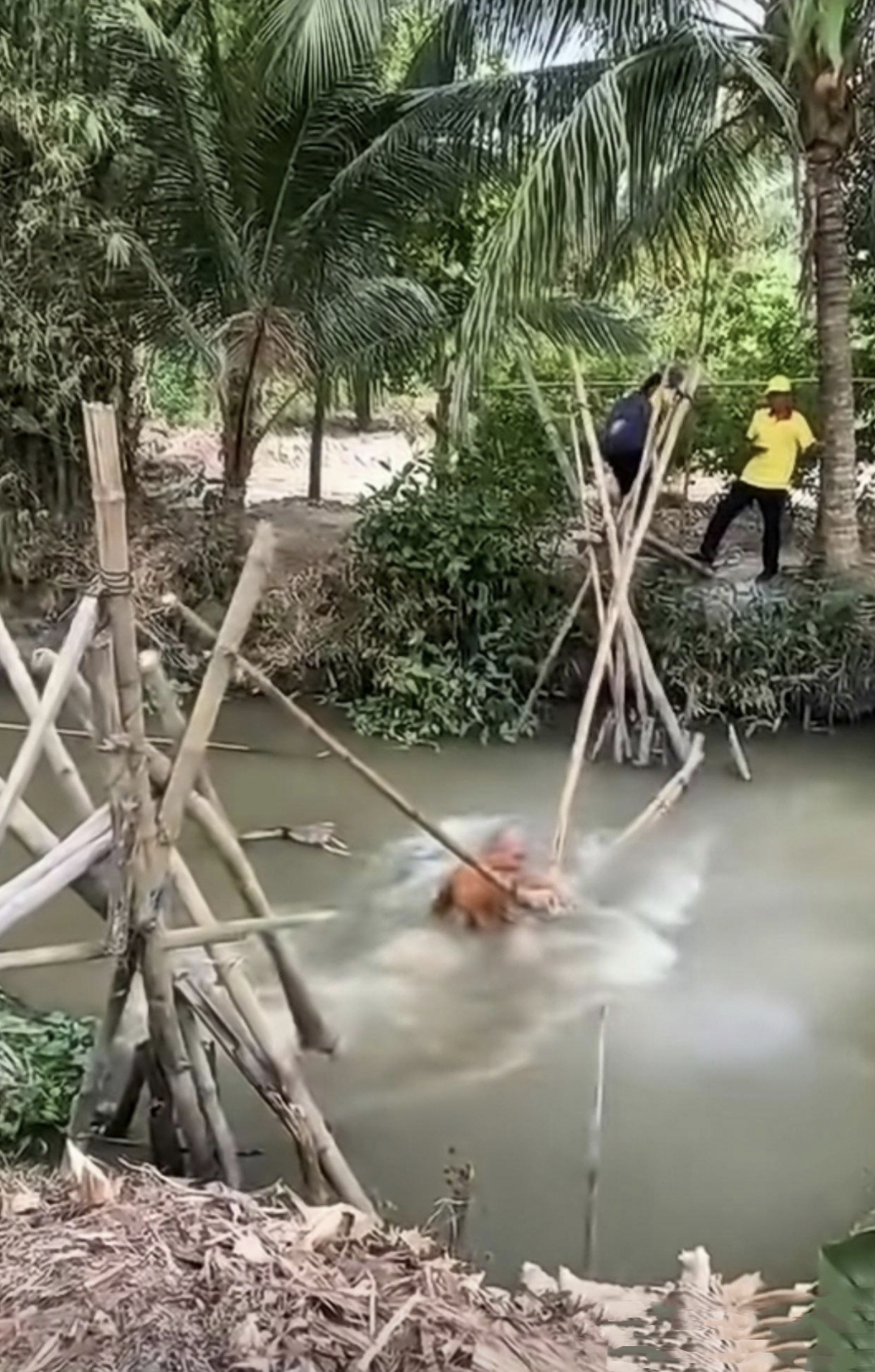 和大师一起过河,没想到大师竟然一脚把小桥给踩断了,接着"噗通"一声掉