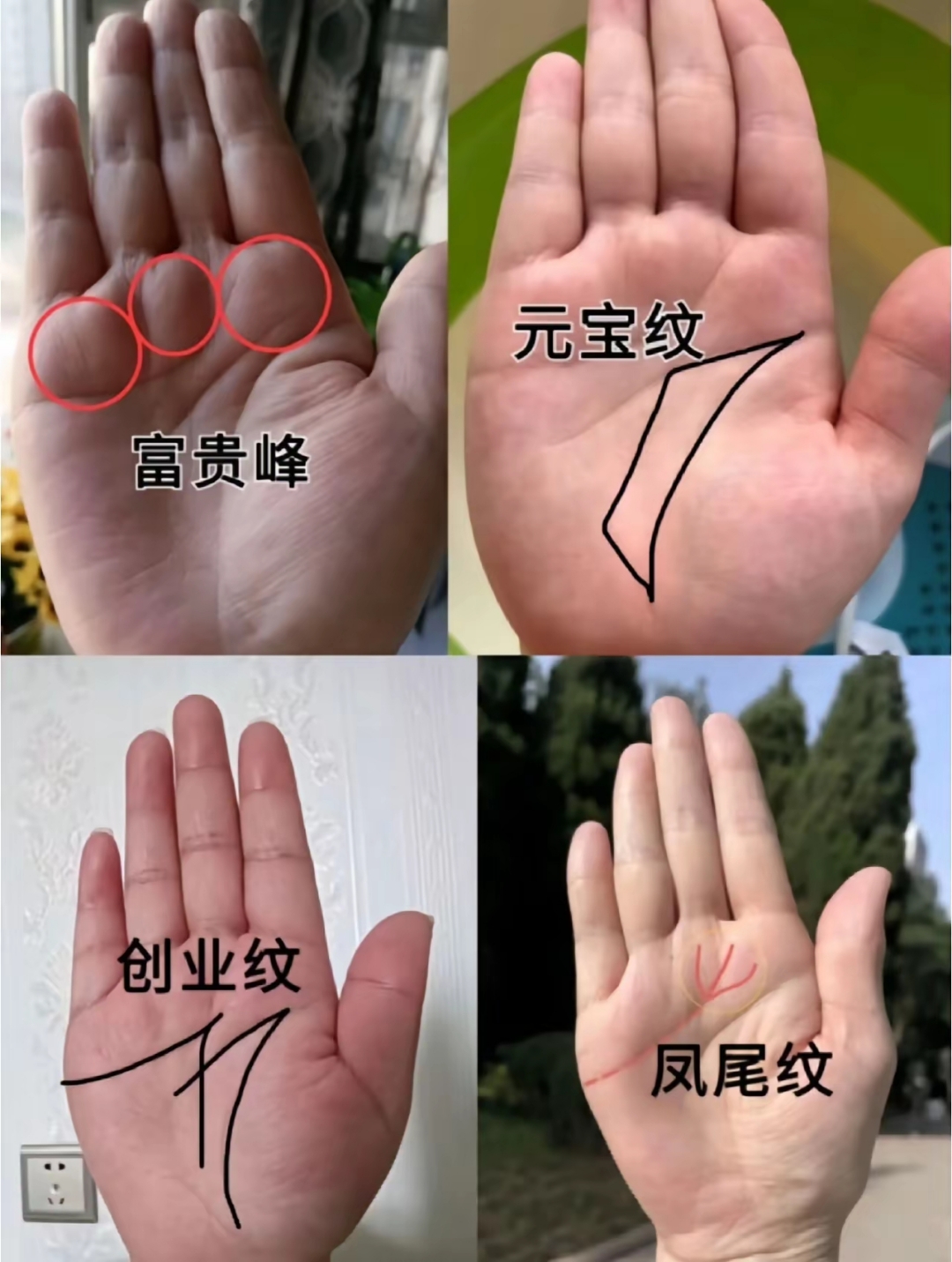 富贵峰,元宝纹藏着财运密码,快摊开手掌自查,评论区蹲个同款富贵手