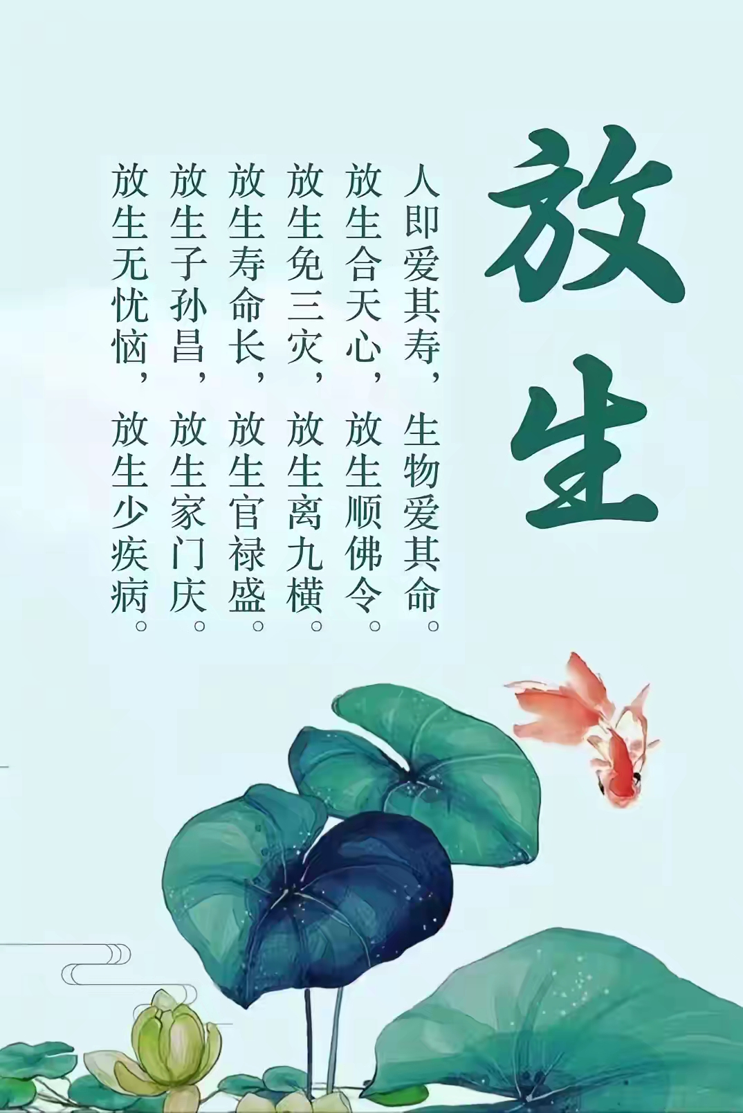 让我们以放生之举,种下善因