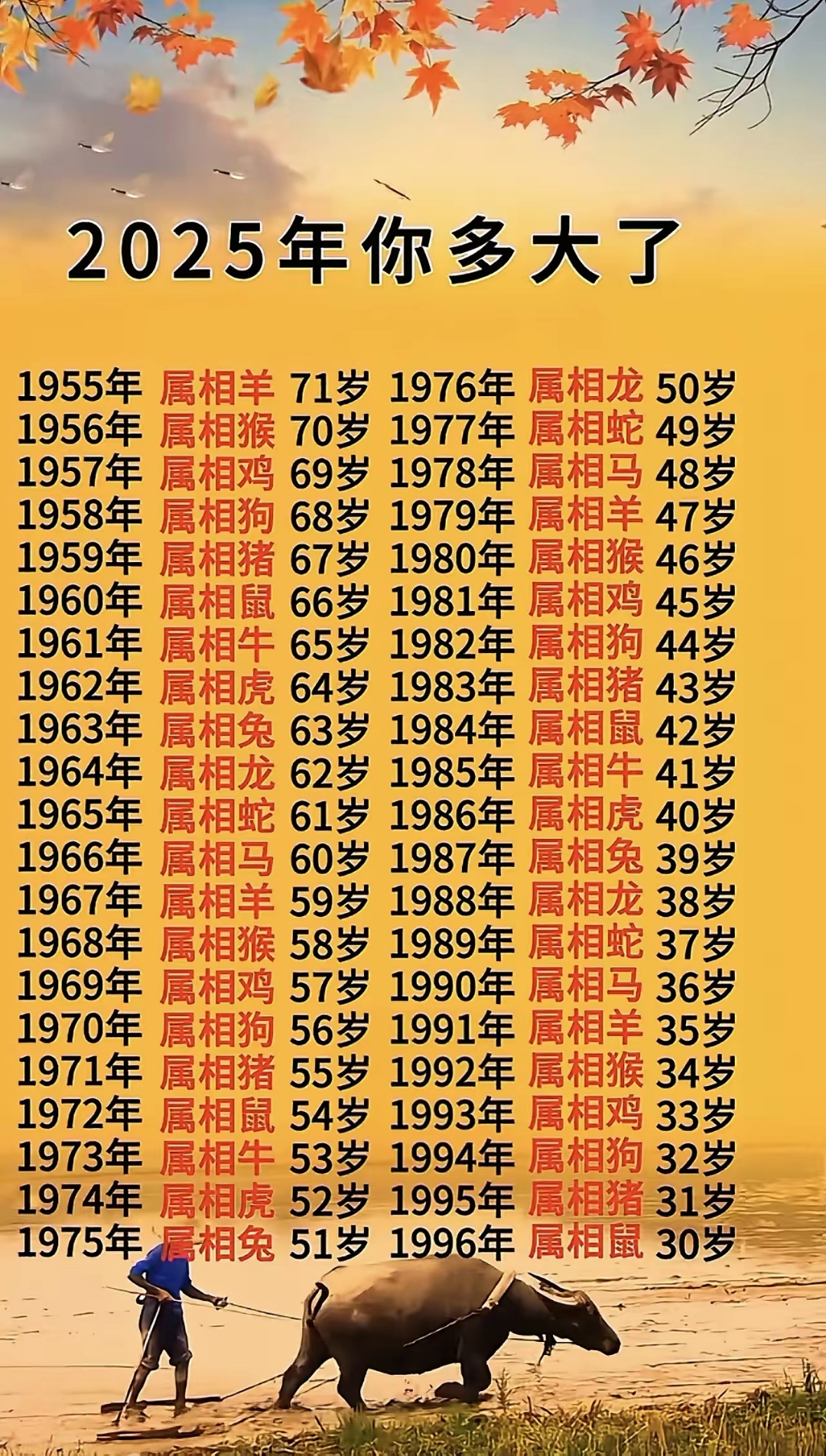 旦夕代表什么生肖