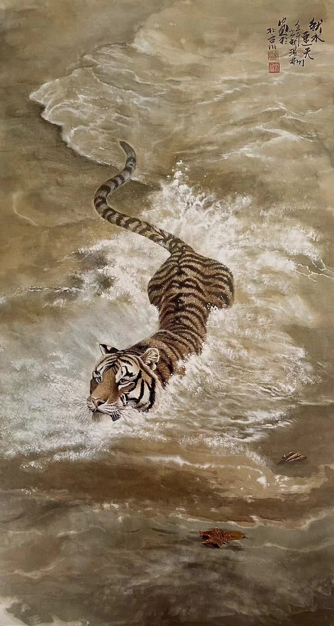 秦洪彬老师作品欣赏
