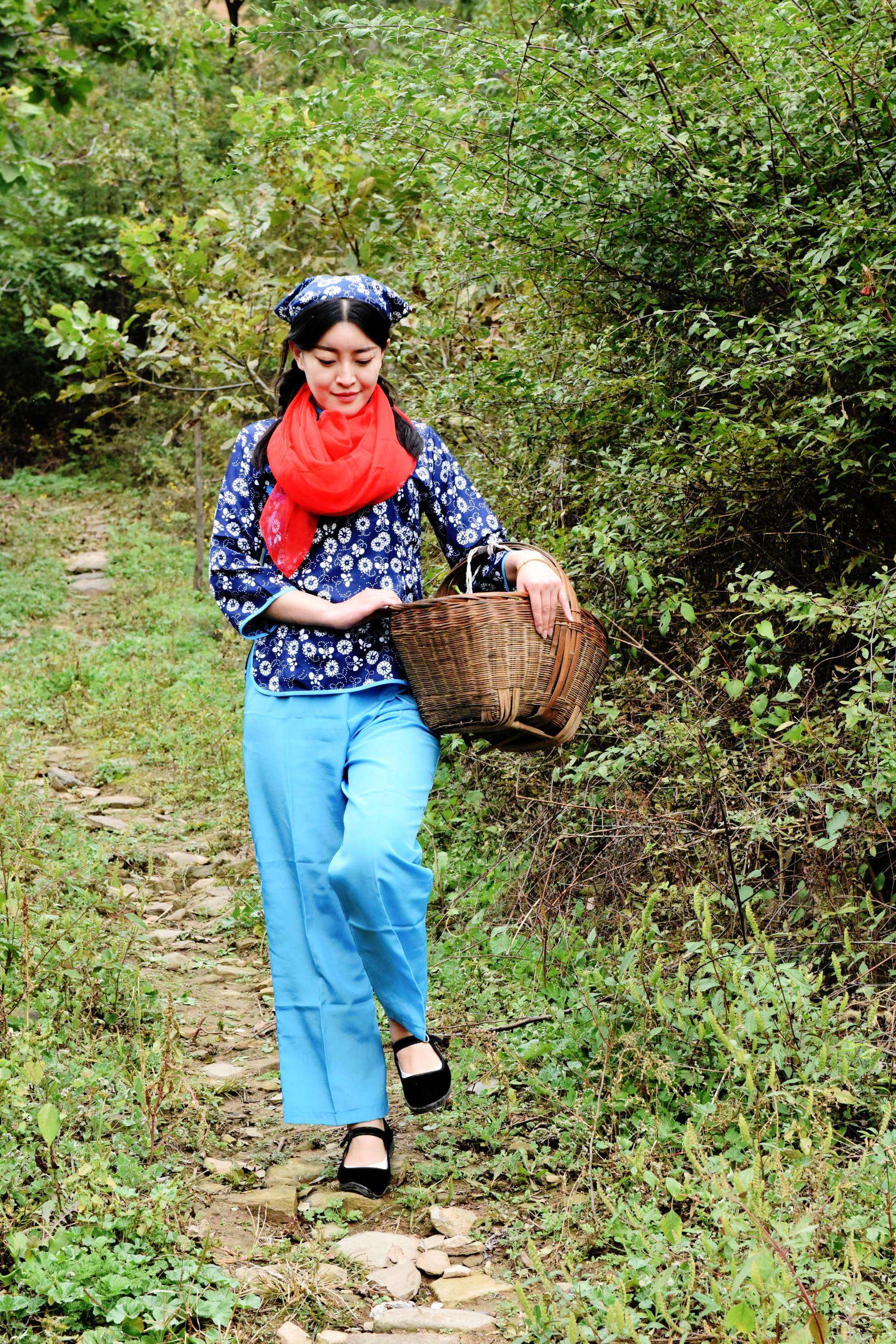 七绝 采野菜 黄冈老黄