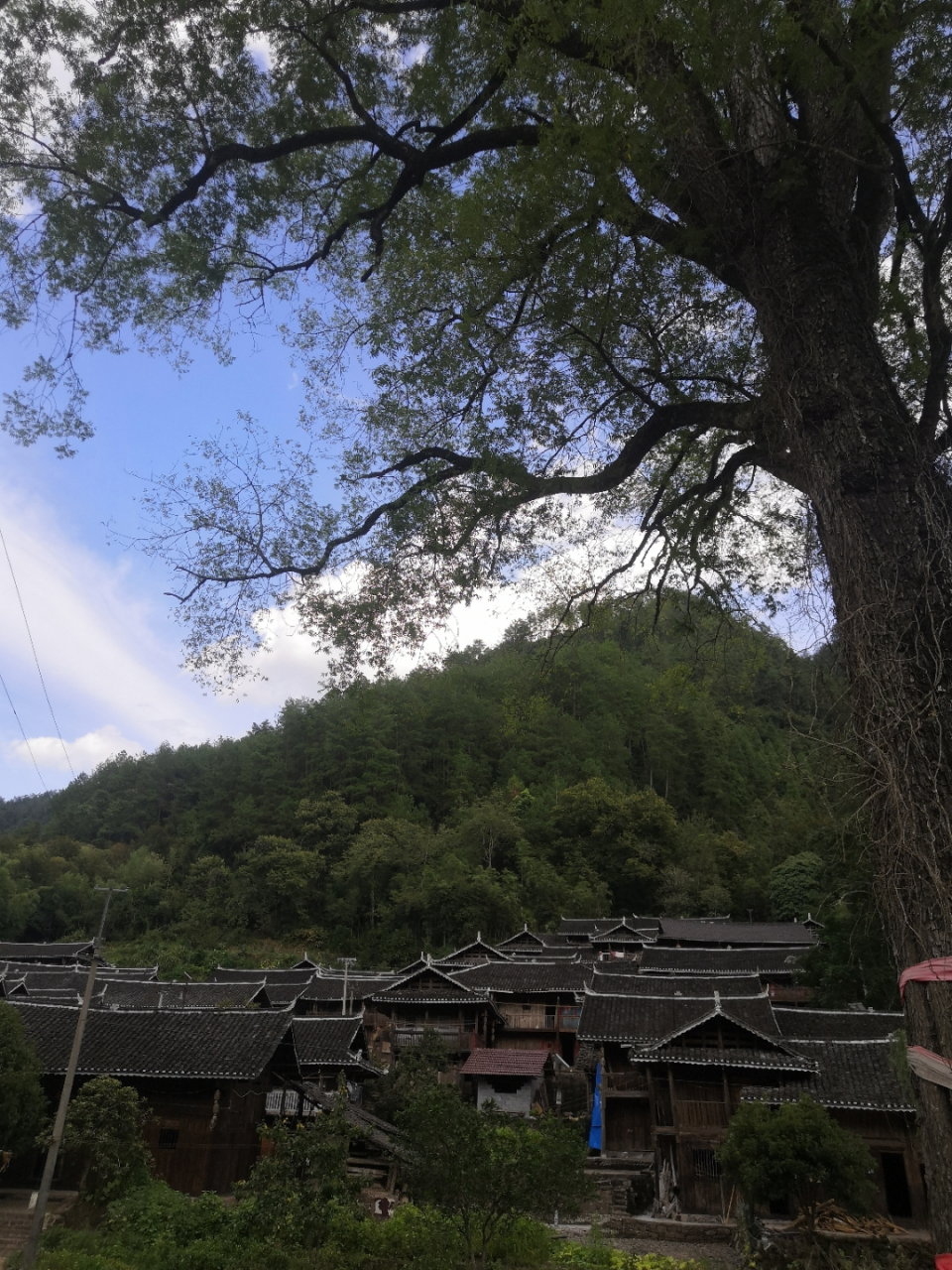 沅陵胡家溪风景区图片