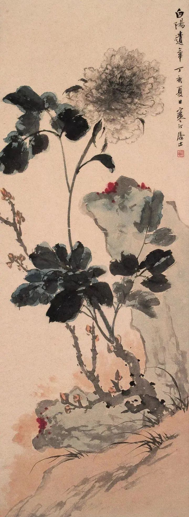 花鸟大师——江寒汀画牡丹图,清隽秀丽,高雅静美!