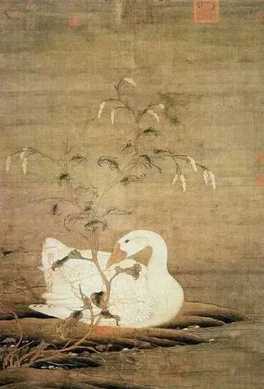 宋徽宗 赵佶   传世花鸟名作系列