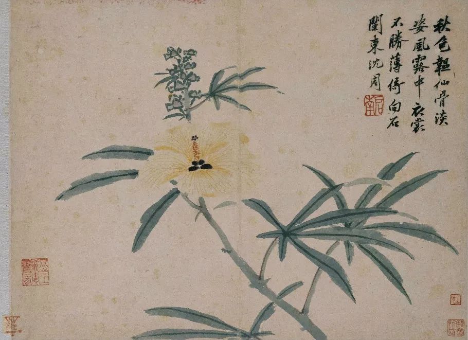 沈周  沈周——花鸟册页       (1427年11月21日-1509年8月2日)长洲