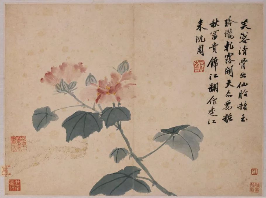 沈周  沈周——花鸟册页       (1427年11月21日-1509年8月2日)长洲