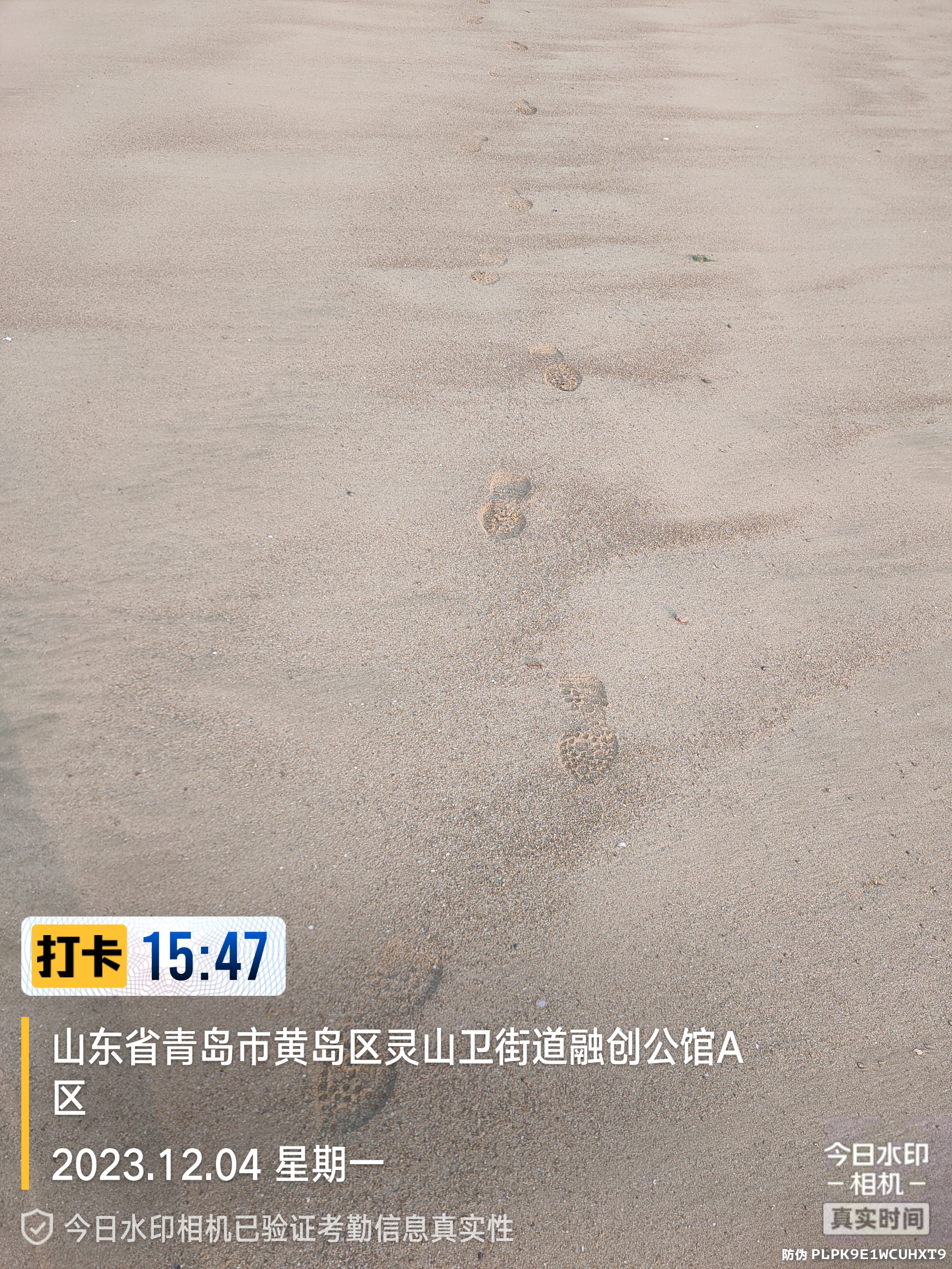 93那天,我来到青岛黄岛区的灵山卫街道世茂海滨公园,被眼前的美景