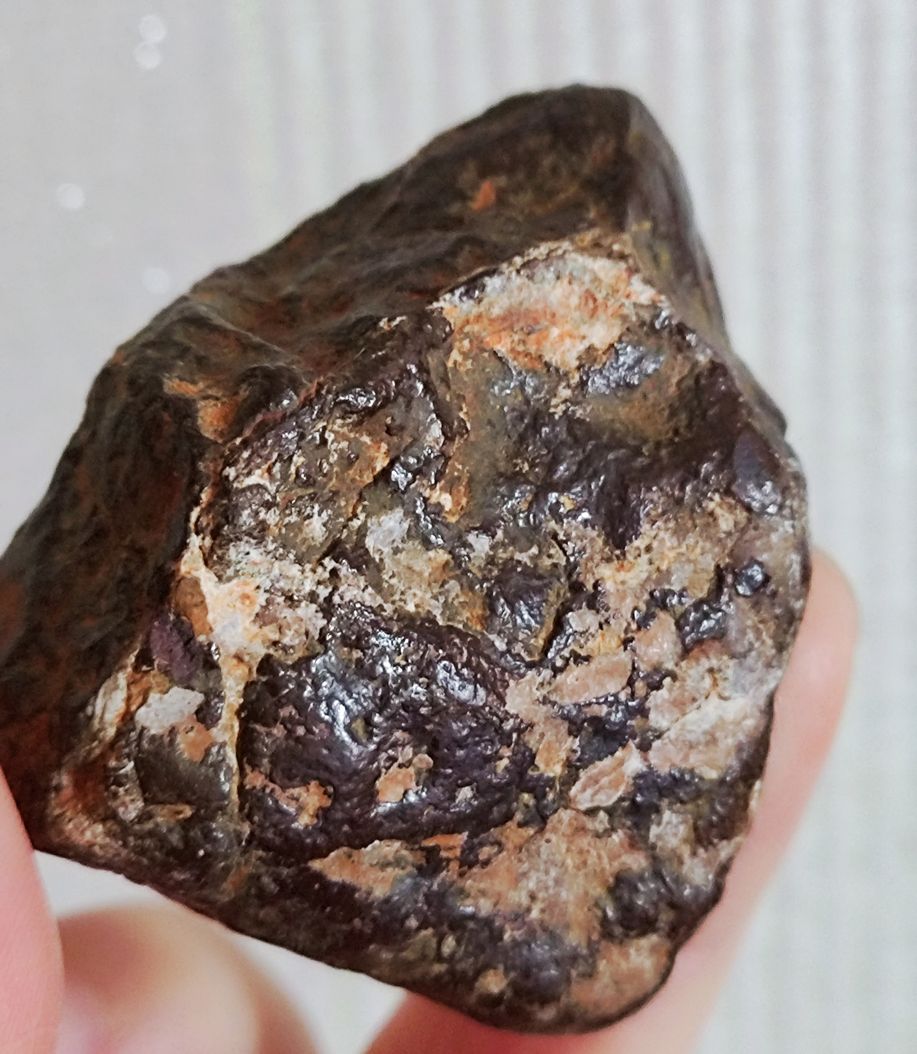 月球长石角砾构结陨石.月球陨石是世界上最稀有陨石之一.