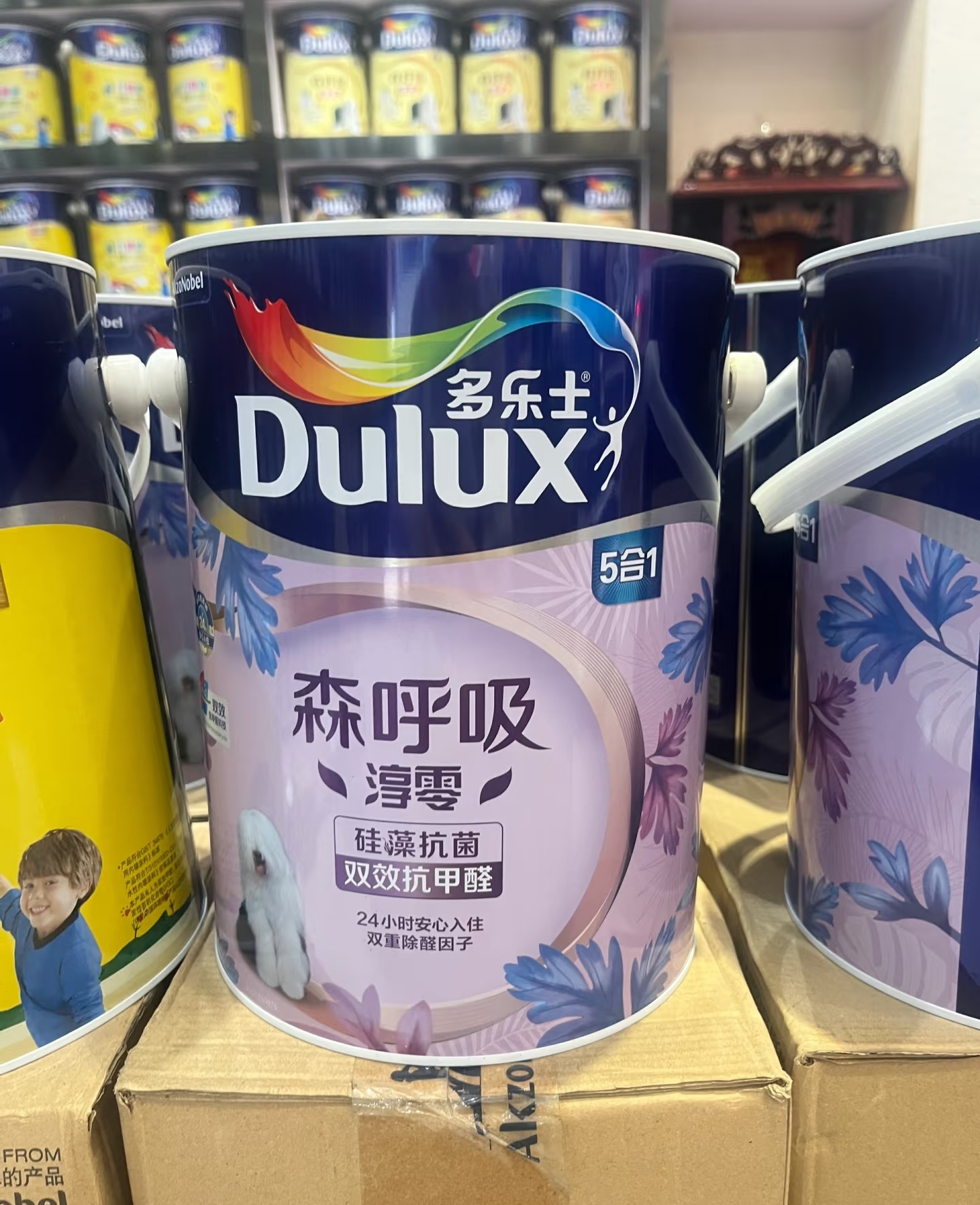 誰來說說立邦哪種漆好還有沒有比較好的品牌呢