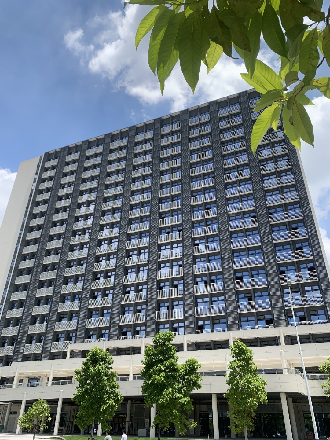 就是黄埔万达广场上盖的公寓现房!