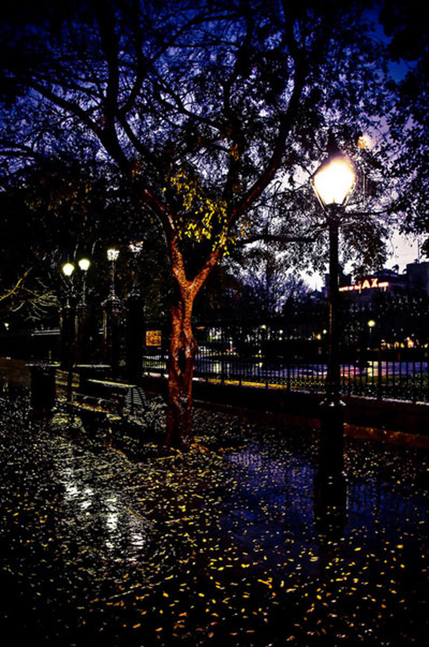 好文推荐《夜雨诗意 有多少乌云密布的雨夜,悄悄地改变了中国历史的