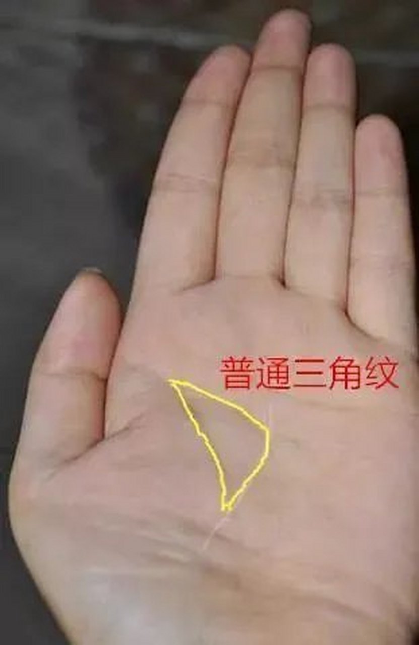 手相三角纹,有一定财运,必然不会穷一生,再穷穷不过30岁,后面财运丰隆