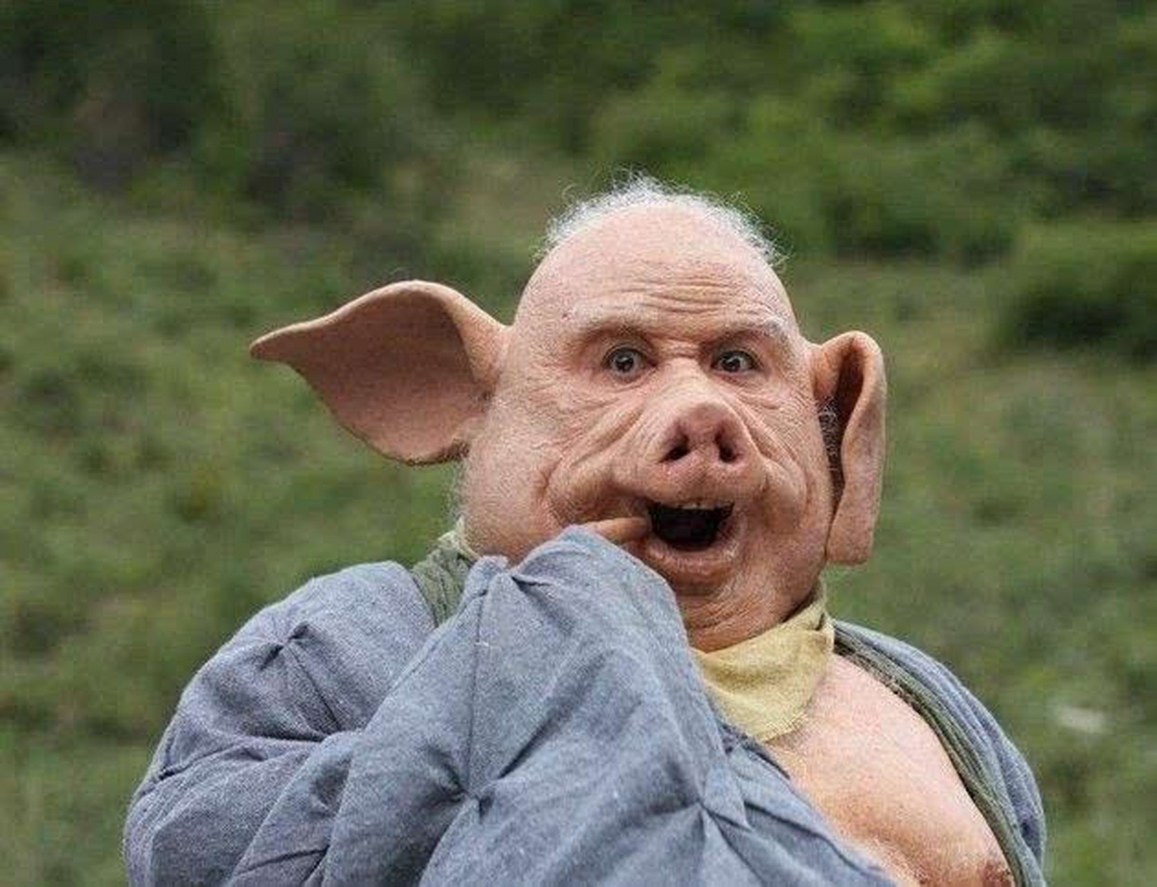 国际丢脸人士如下图及名字 @袁依楣婊中至尊 其实我感觉你更像两头猪