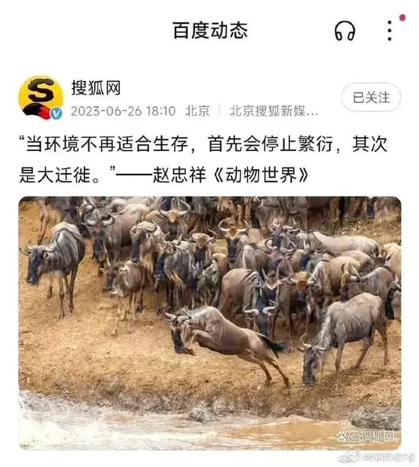 好像是那么回事