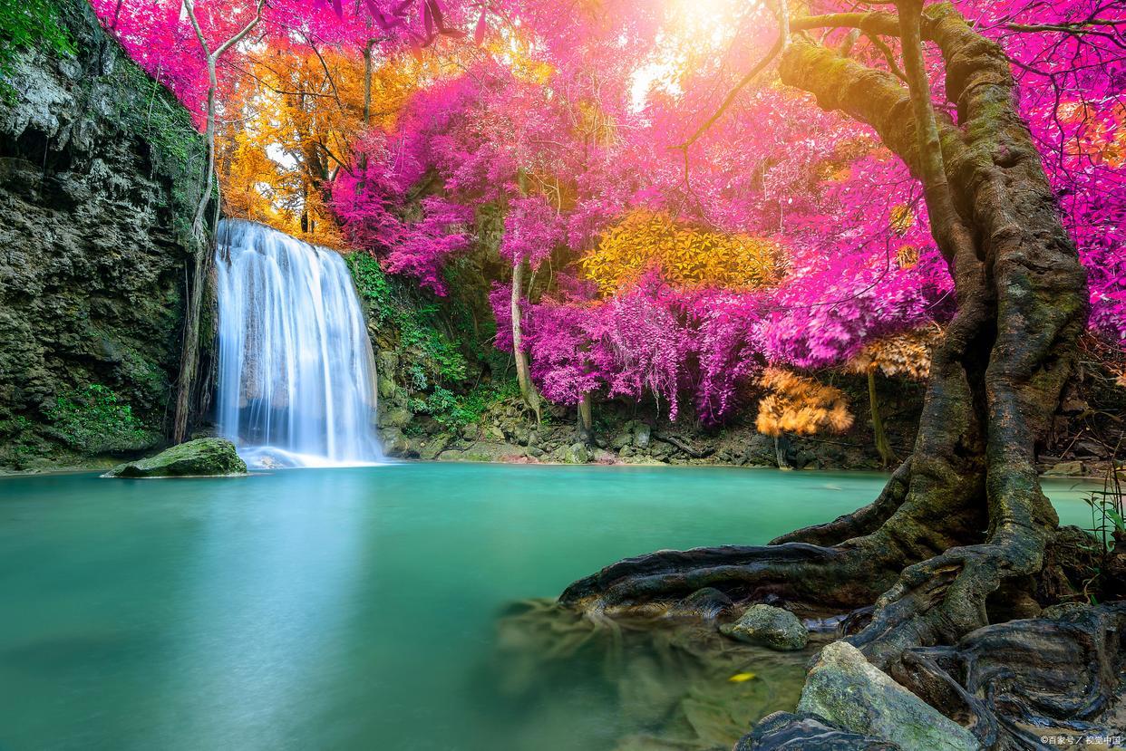 沿着树根流淌的溪水,与粉红的花朵,碧绿的潭水交相辉映,蓝天白云也来