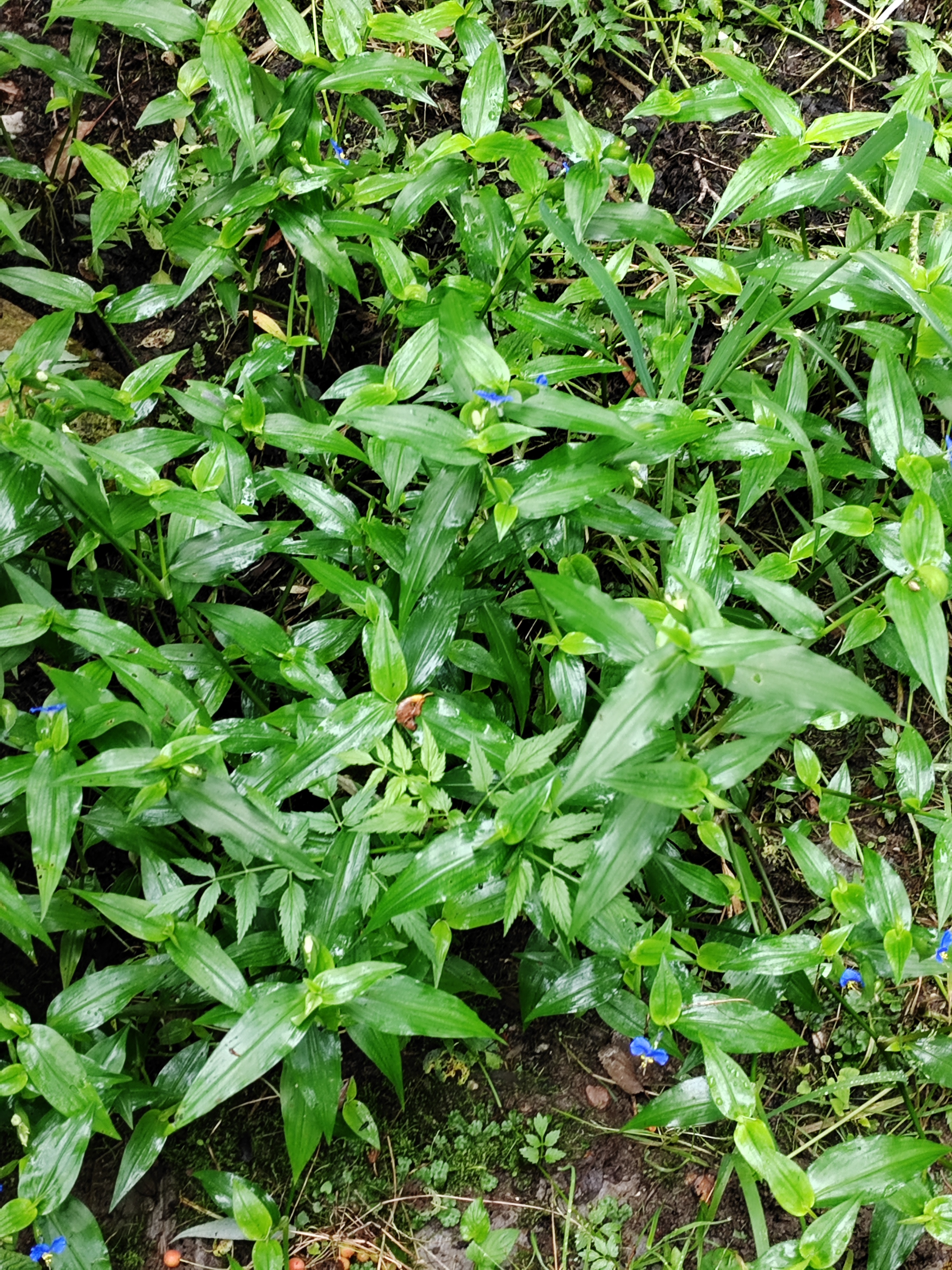 人们感觉到这个季节即将结束