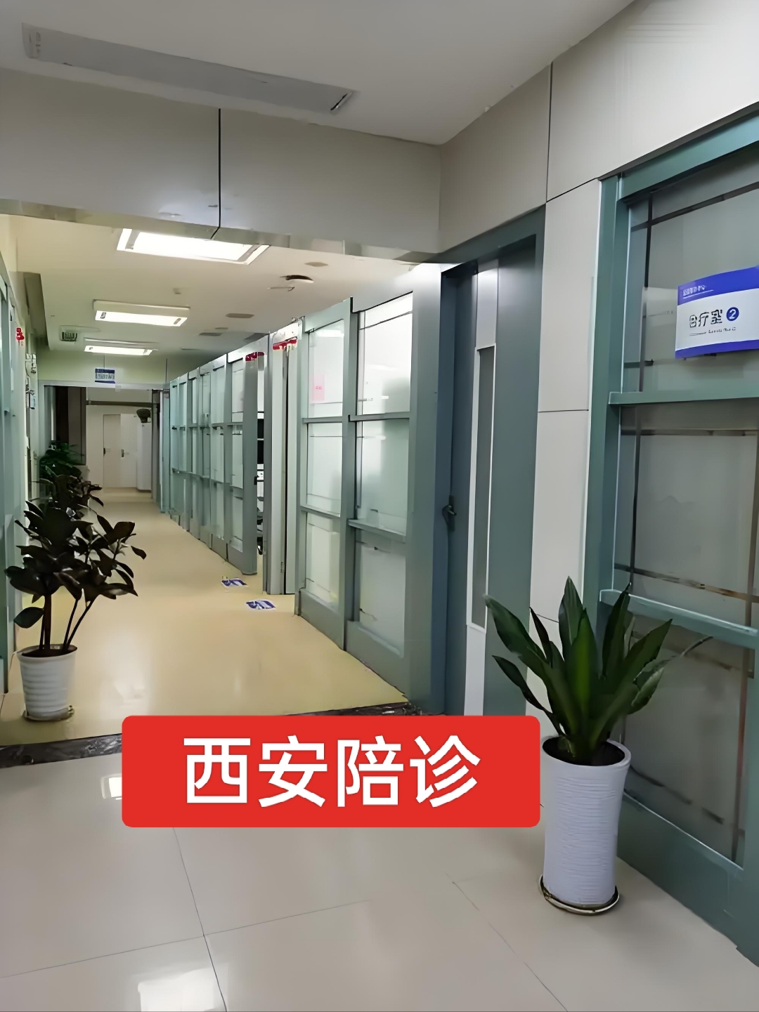 中国医学科学院整形外科医院陪诊协助挂号全身体检全程陪同,项目逐一落实的简单介绍 中国医学科学院整形外科医院陪诊协助挂号全身体检全程陪同,项目逐一落实的简单介绍