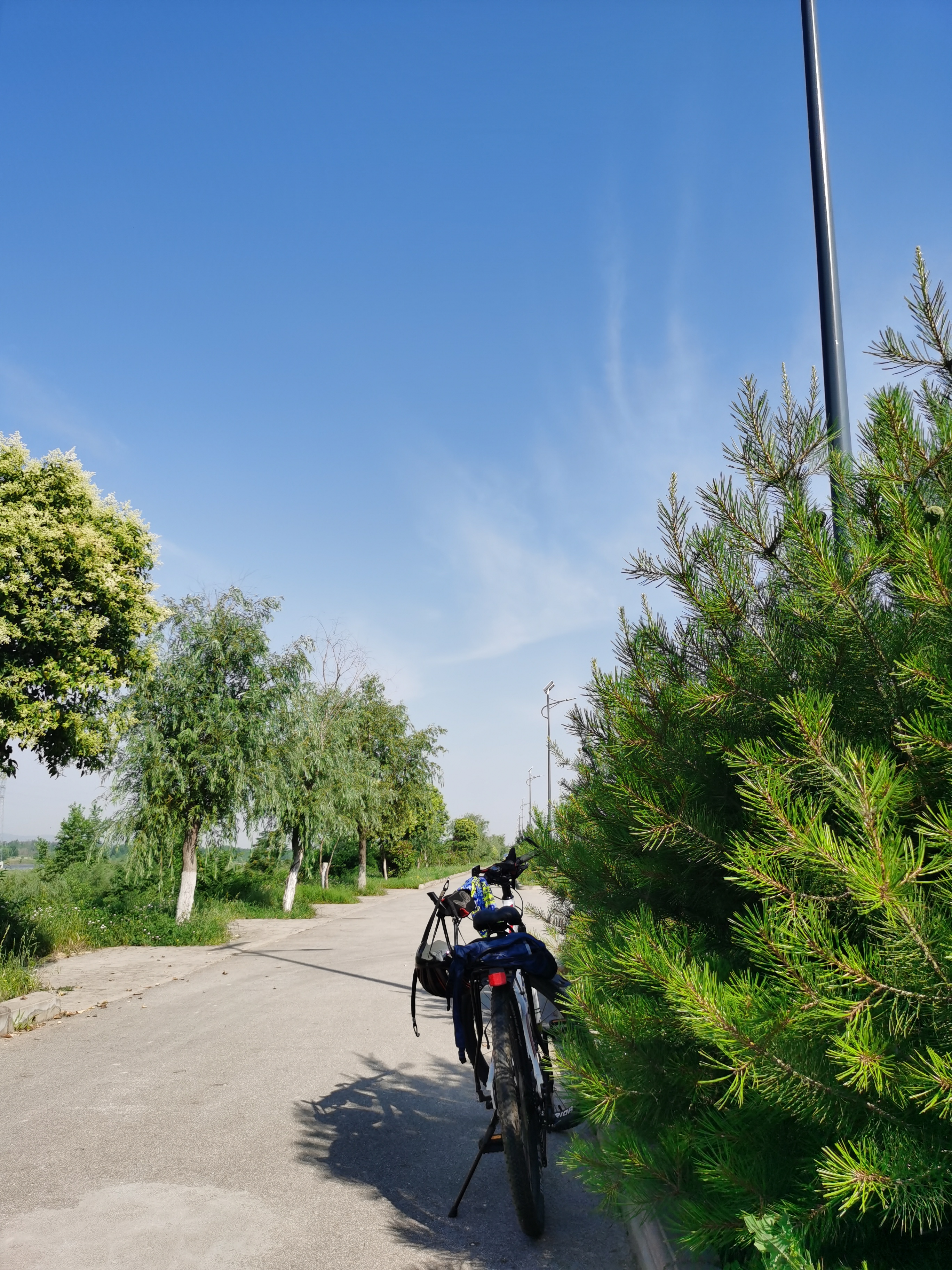 6月15号,宝鸡市关中环线项目渭河大桥施工现场.