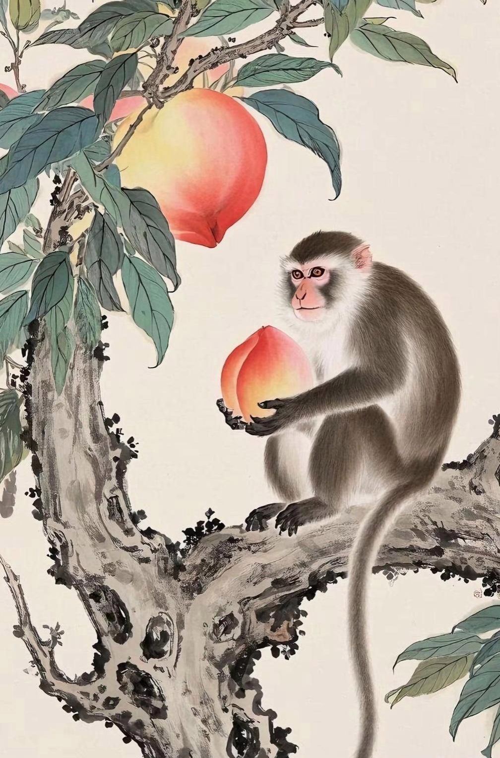 生肖猴今年的健康运势(属猴今年健康怎么样)
