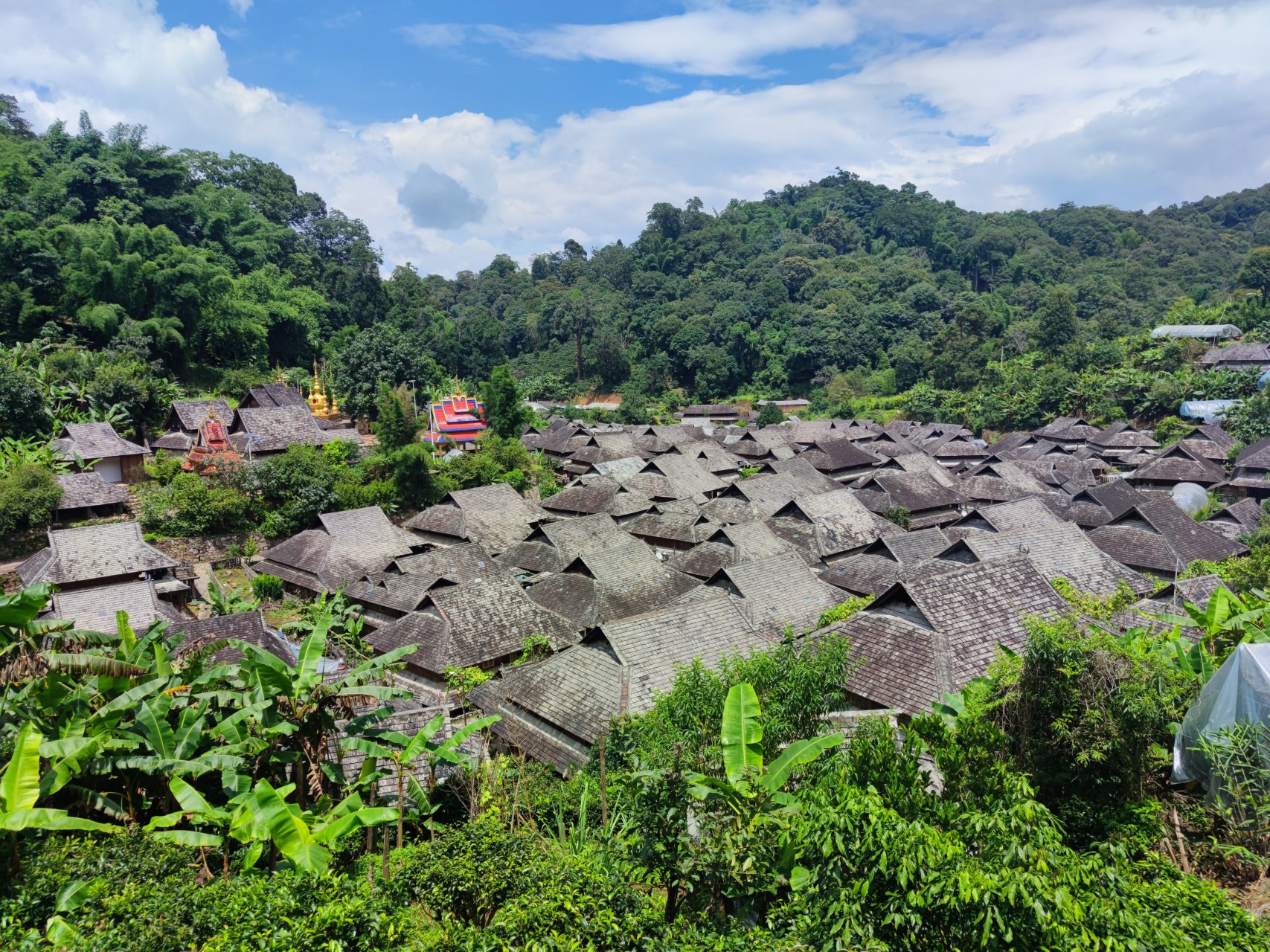 当我第一次来到景迈山糯岗古寨,我被它的美丽景色所震撼.