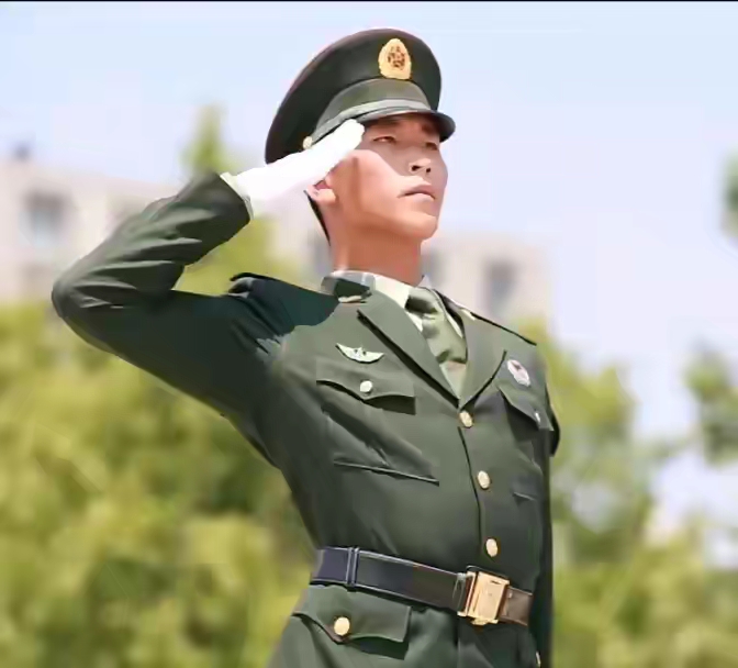 《致敬英雄:军人敬礼的庄严瞬间》